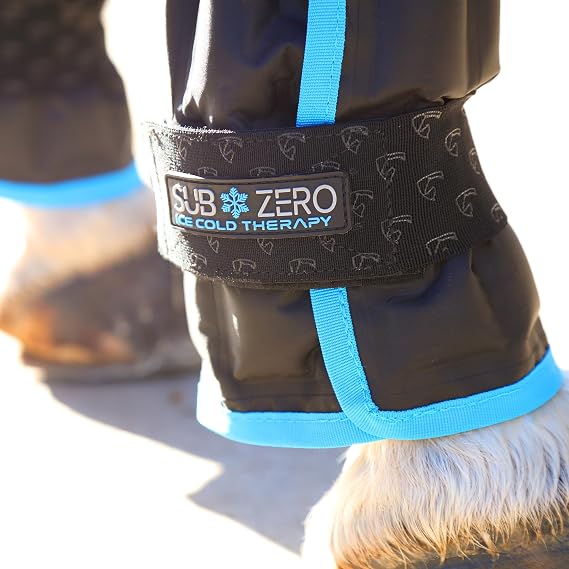 Shires ARMA Subzero Ice Boots - Cold Therapy Cooling Leg Wraps for Horses Default Title