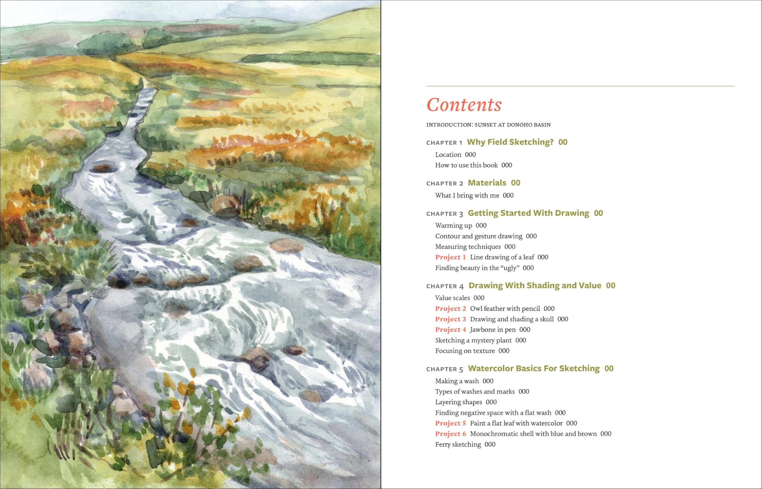 Discover the Art of Field Sketching: Nature-Inspired Techniques for Pencil, Pen, and Watercolor