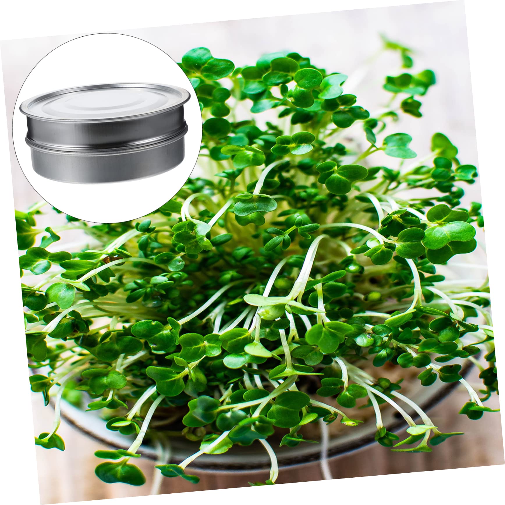 VANZACK Edelstahl Keimschale 20cm Standard Sieb 1 Satz Silber | Eisen und Zinkanteile, Kochbar, Hält Kleines Sicher Zurück, für Garten und Zuhause