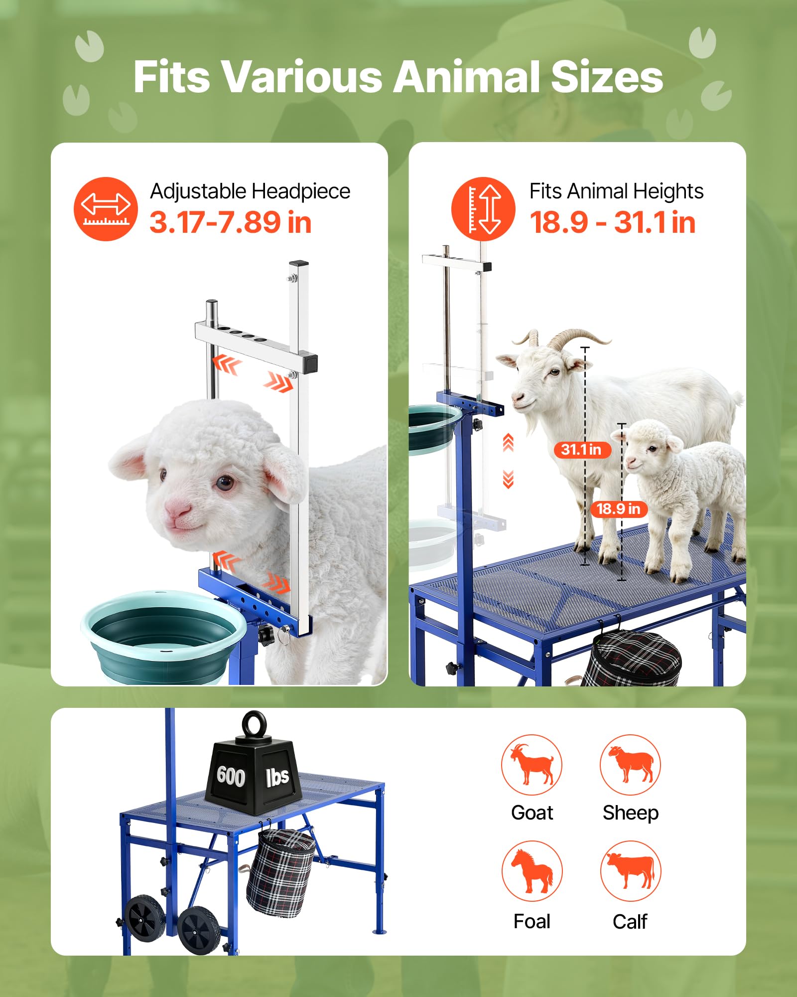VEVOR Supporto per Mungitura Capre, Piattaforma Metallica Pieghevole con Contenitore per Mangime e Ruote, Testiera Regolabile e Cestino Porta Attrezzi, per Toelettatura e Pareggio Zoccoli Bestiame
