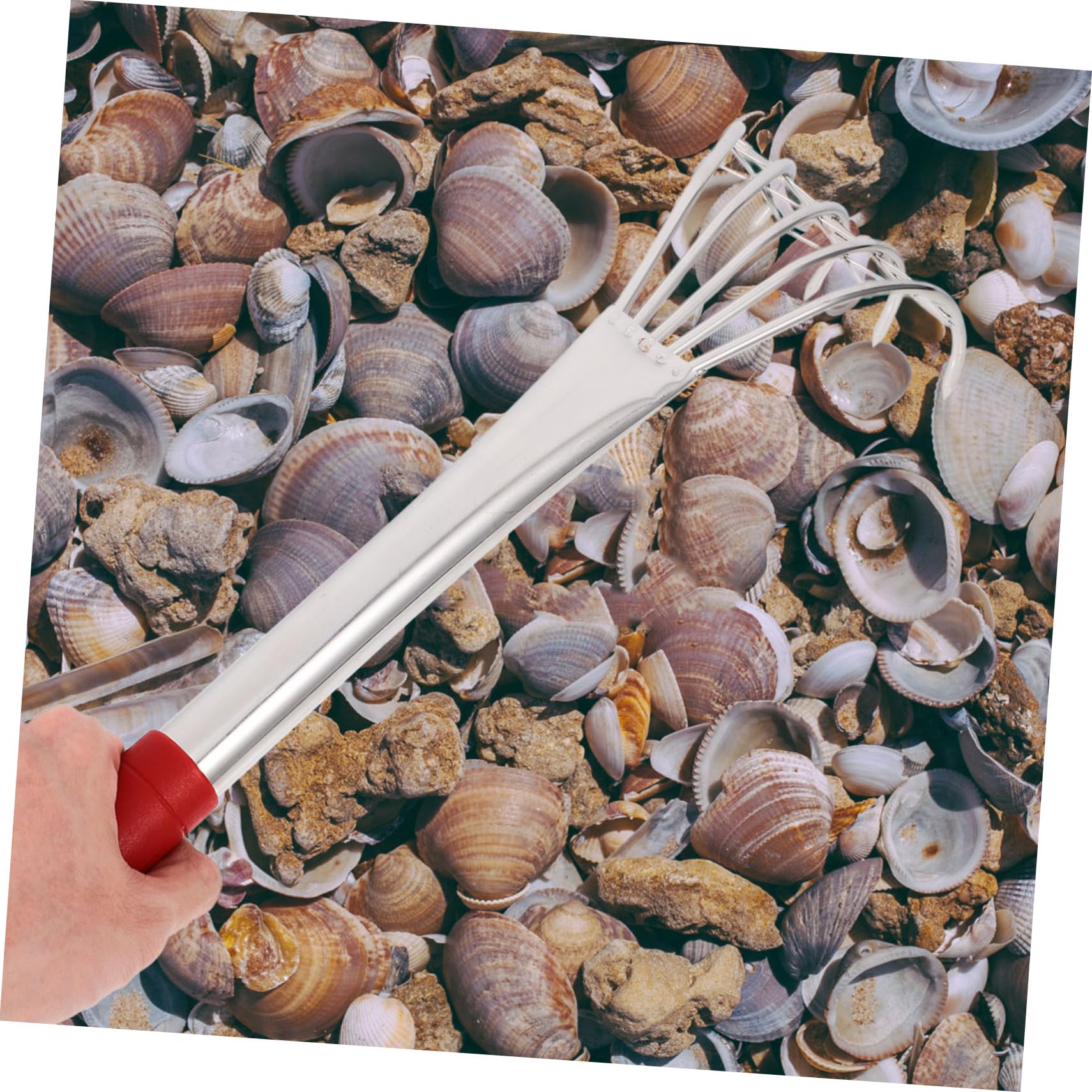 2 Stück Edelstahl Strandrechen mit Klauen für Muschelsuche Langlebiges Gartentool zum Graben Am Strand Teiliges Praktisches Greifen von Muscheln und Meerestieren für Outdoor