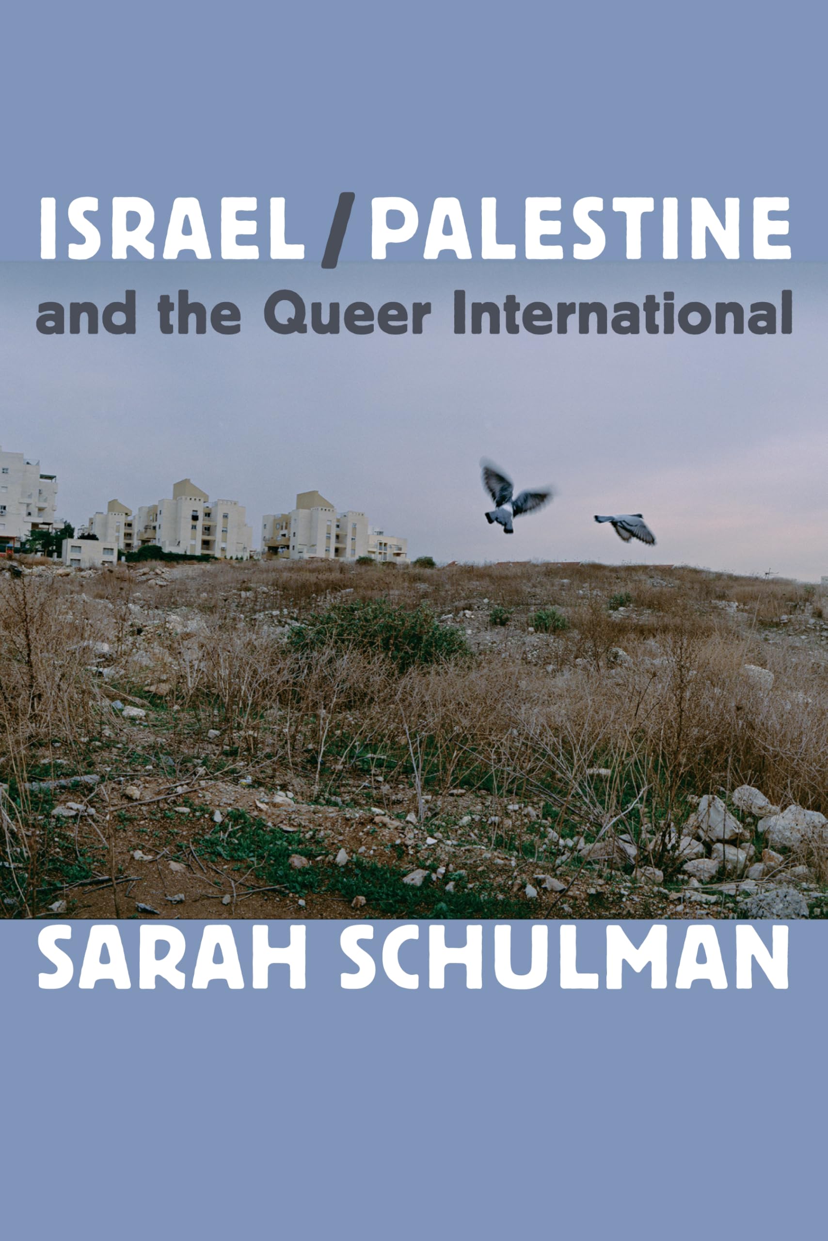 IsraelPalestine and the Queer International by Sarah Schulman PAPERBACK