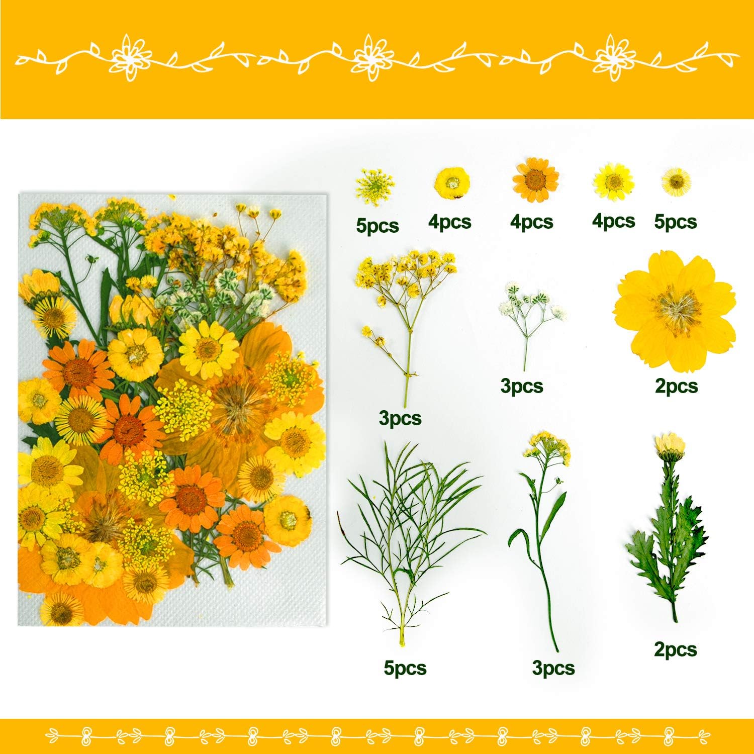 YRYM HT Dried Pressed Flowers - 75 Pcs Yellow Pressed Flower for Crafts, Natural Pressed Flower for Resin, Candle Making & Jewelry Making