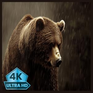 Écran de veille 4K avec ours grizzly, forêt de baies sauvages et nature