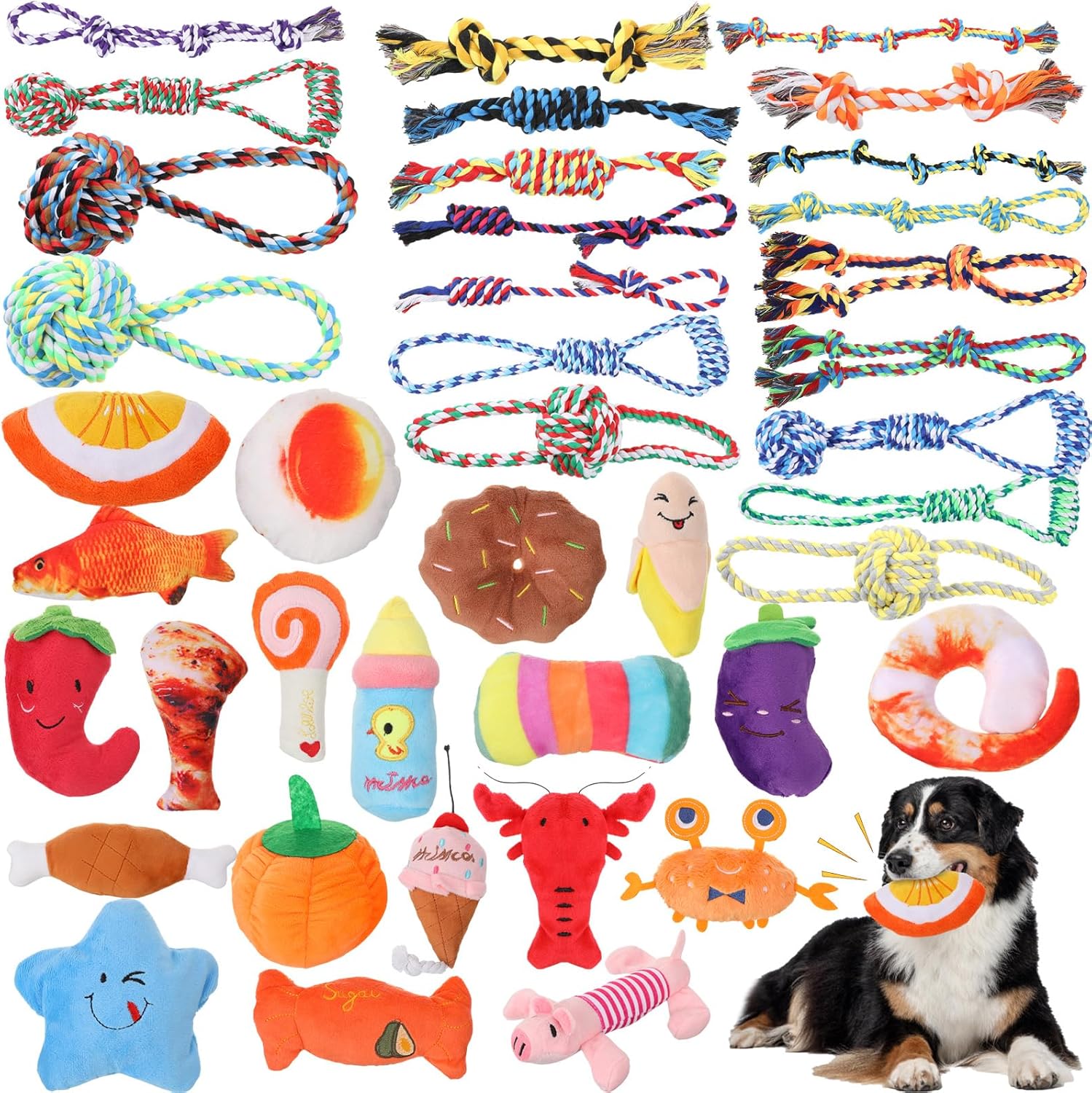 Leyndo 40 Pack Dog Chew Toys for Aggressive Dogs Plush Squeaky Rope Toys for Medium and Large Breed Pet Tug of War Teething Chew Tug