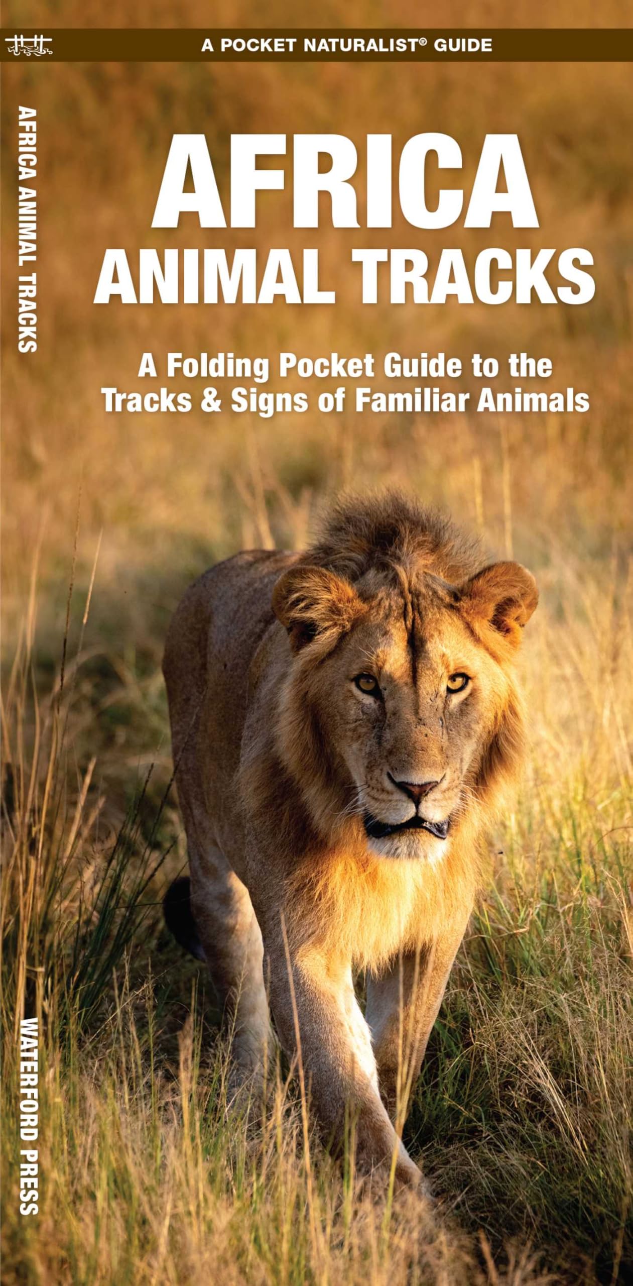 African Animal Tracks: A Folding Pocket Guide to the Tracks & Signs of Familiar Species (A Pocket Naturalist Guide) (Pocket Naturalist Guide Series)