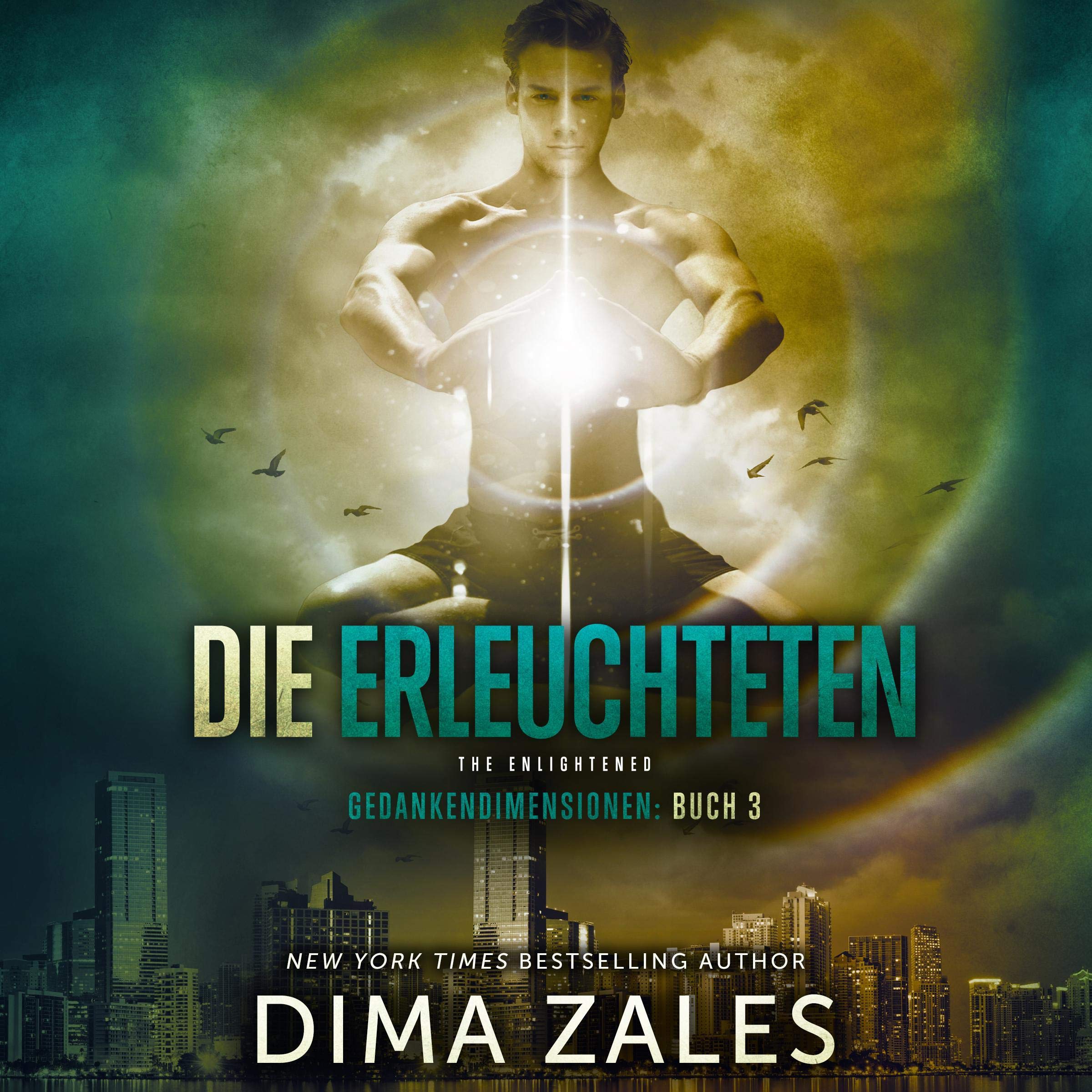 Cover art for Die Erleuchteten - The Enlightened