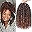 Leeven 8 Packs Ombre Brown Passion Twist Hair 10 Inch Pre Twisted Short Passion Spring Twist Crochet Braids Hair With Curls At The Ends Synthetic Bohemian Braiding Hair Extensions for Women T30