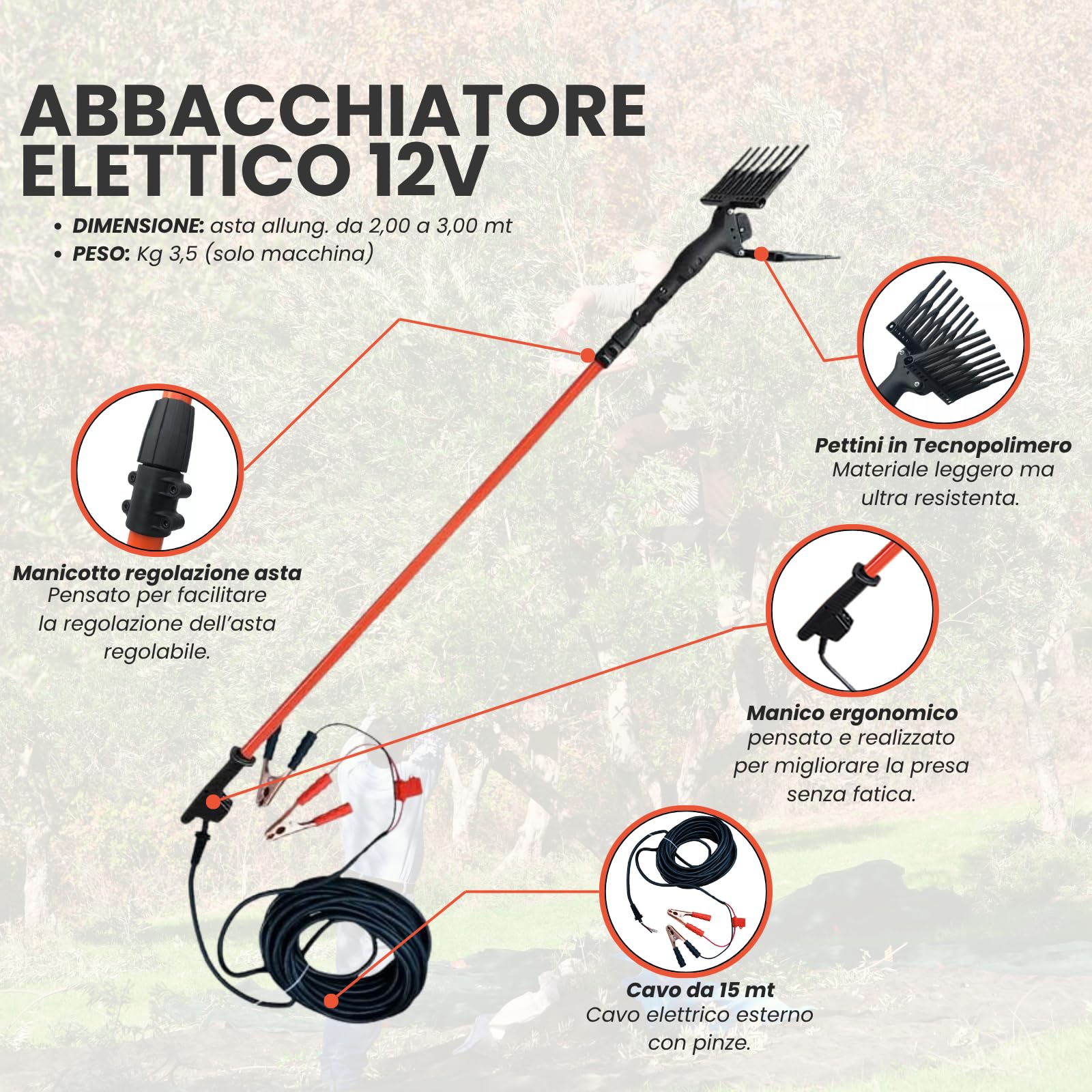 Generico Abbacchiatore Olive Elettrico 12V con Asta Telescopica 2-3m, 800 Battiti/Min, Pettini in Tecnopolimero – Scuotitore Professionale Leggero e Potente per Raccolta Olive