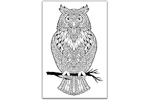 Owl Adult Coloring - Stretched Primed Canvas Masterpiece