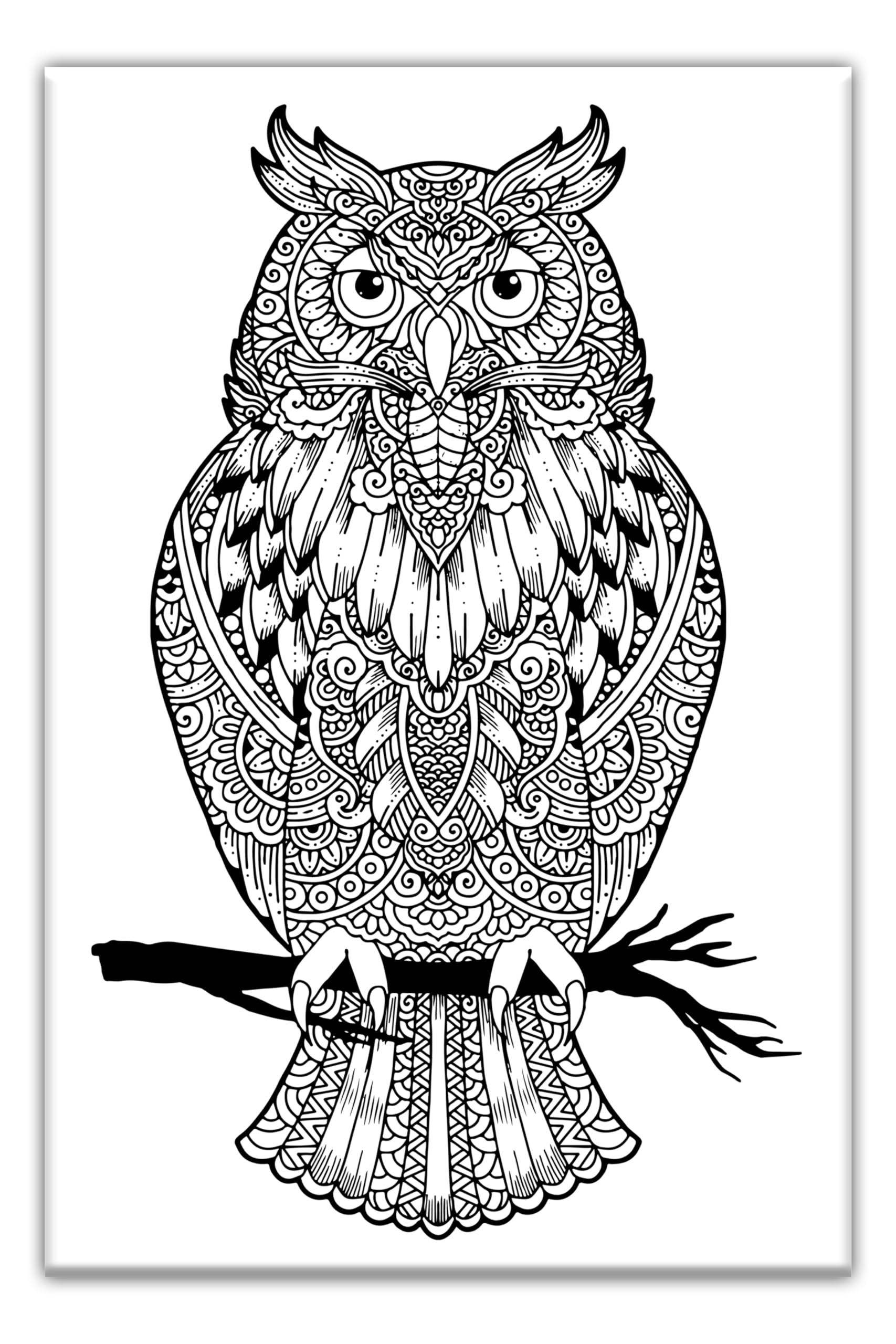 Owl Adult Coloring, Stretched primed canvas to color, Size – 8 x 12 Inches