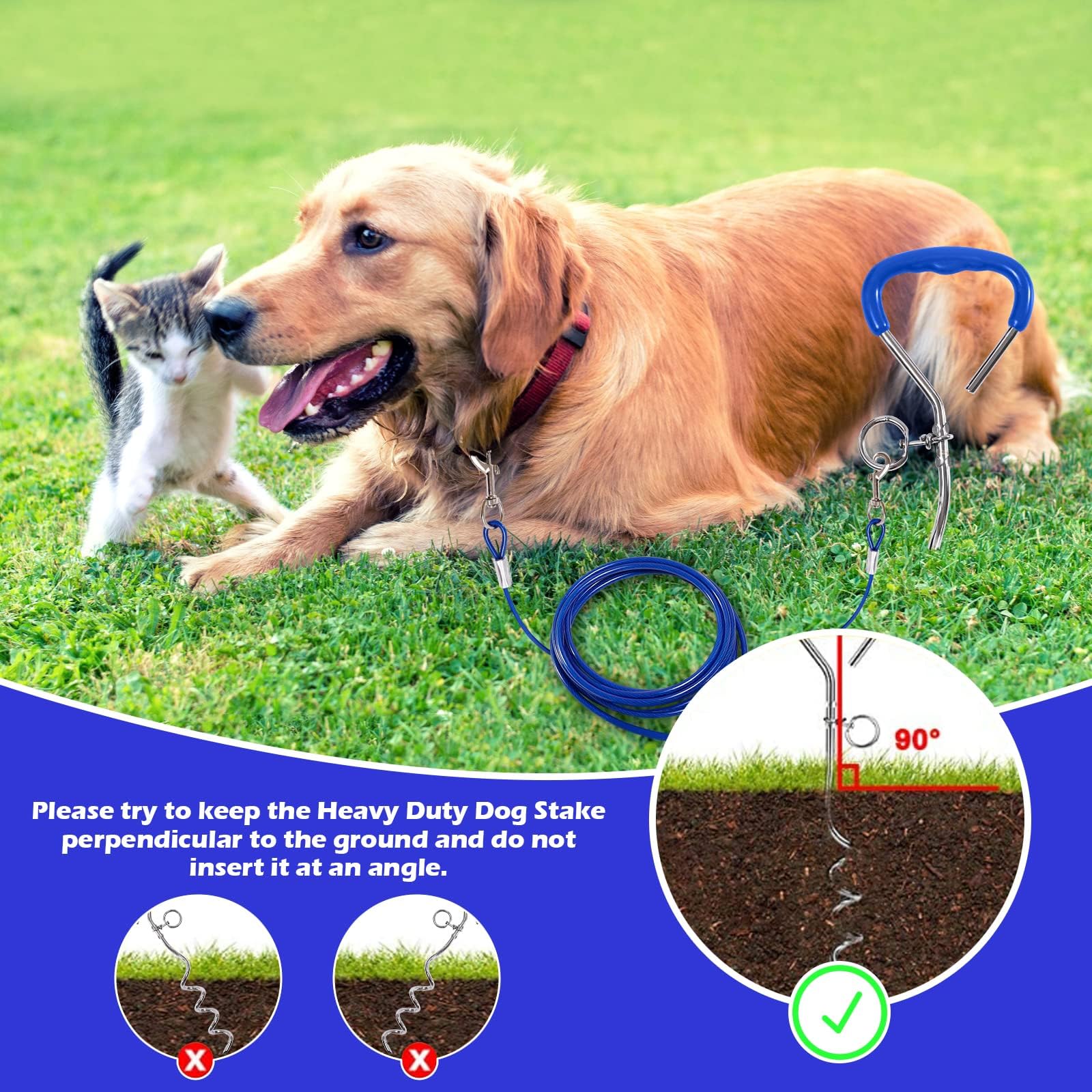 Ancrage en spirale bleu de 40 cm avec câble en acier de 5 mm x 3 m - Ancrage au sol à visser - Force de traction 80 kg - Pour chiots, animaux domestiques et chiens de taille moyenne - Accessoire pour