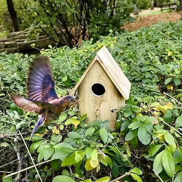 YCHTEWY-DIY Wooden Bird House,Wild Bird Feeder, Hanging Birdhouse Attract Birds & Beautify Your Yard! Cream, C