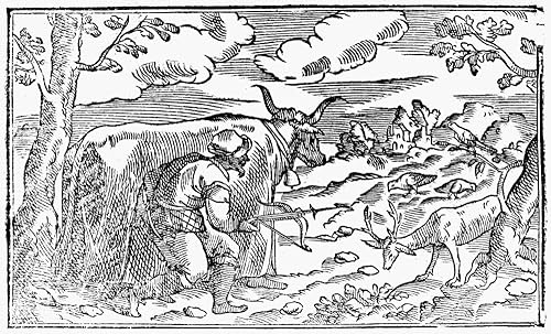 Stag Hunting 1582 Nman Hunting Stags Using A Decoy Woodcut From The Libro De La Monteria By Gonzalo Argote De Molina 1582 Poster Print by (24 x 36)