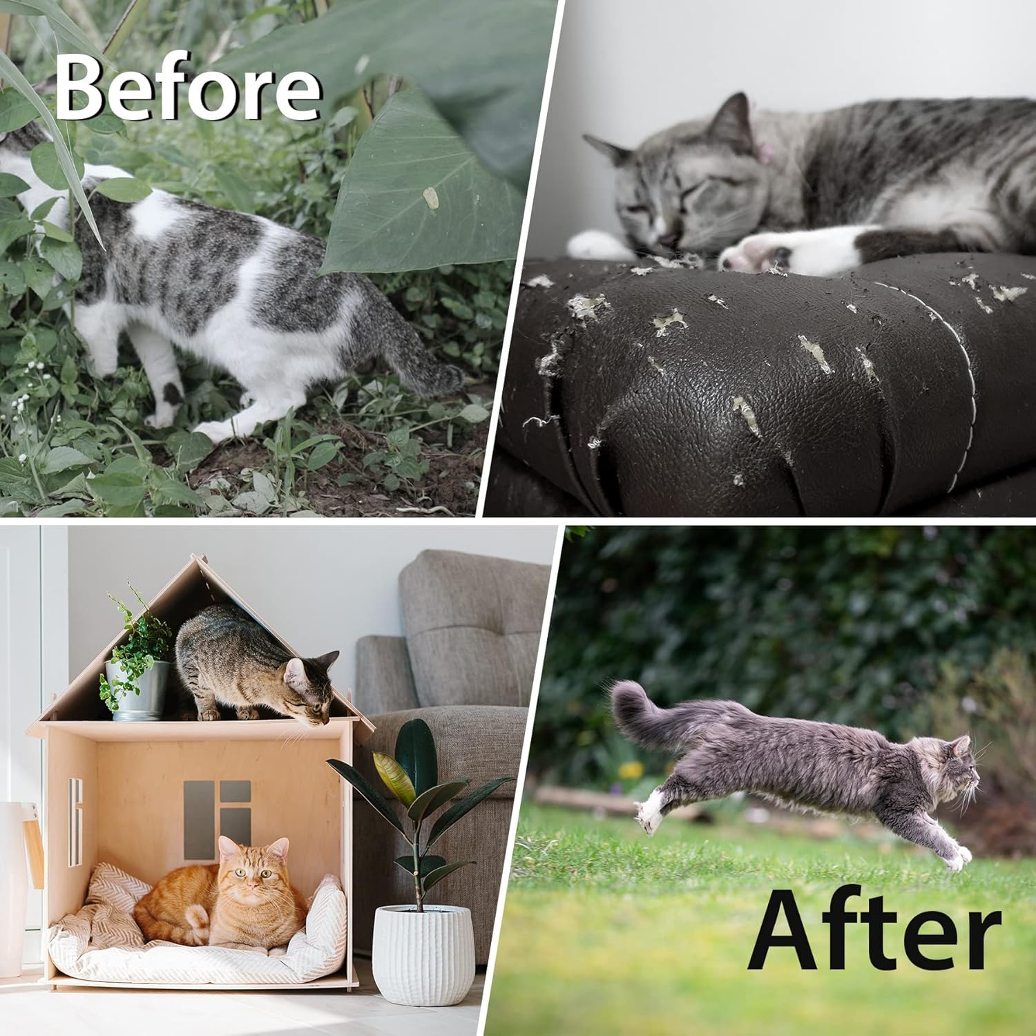 Cat Deterrent Outdoor, Dog Deterrent, Natural Peppermint Oil Cat&Dog Deterrent Outdoor and Indoor, Keep Cats Out of Yard Permanently, Protect (1) 3