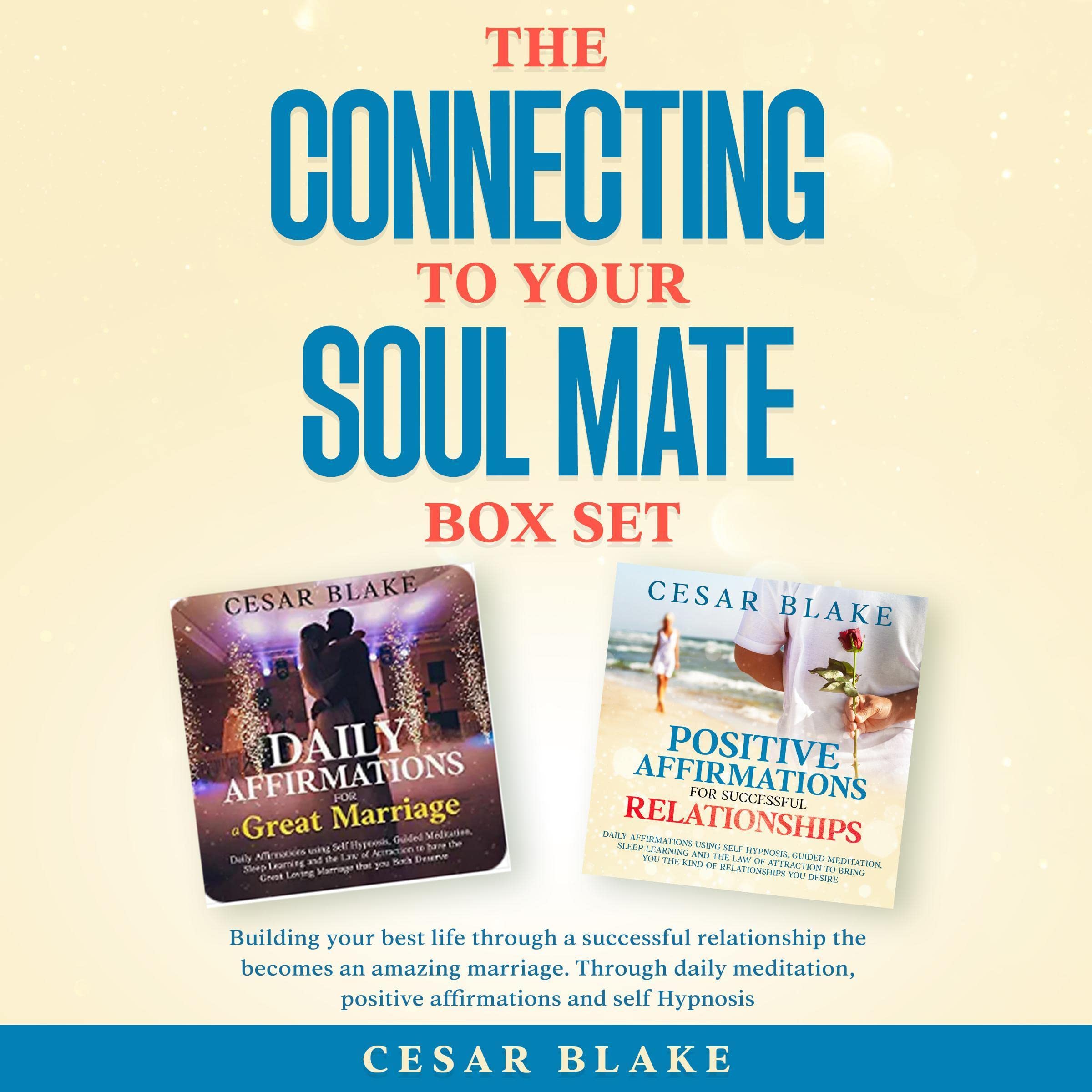 Cover art for The Connecting to Your Soul Mate Box Set