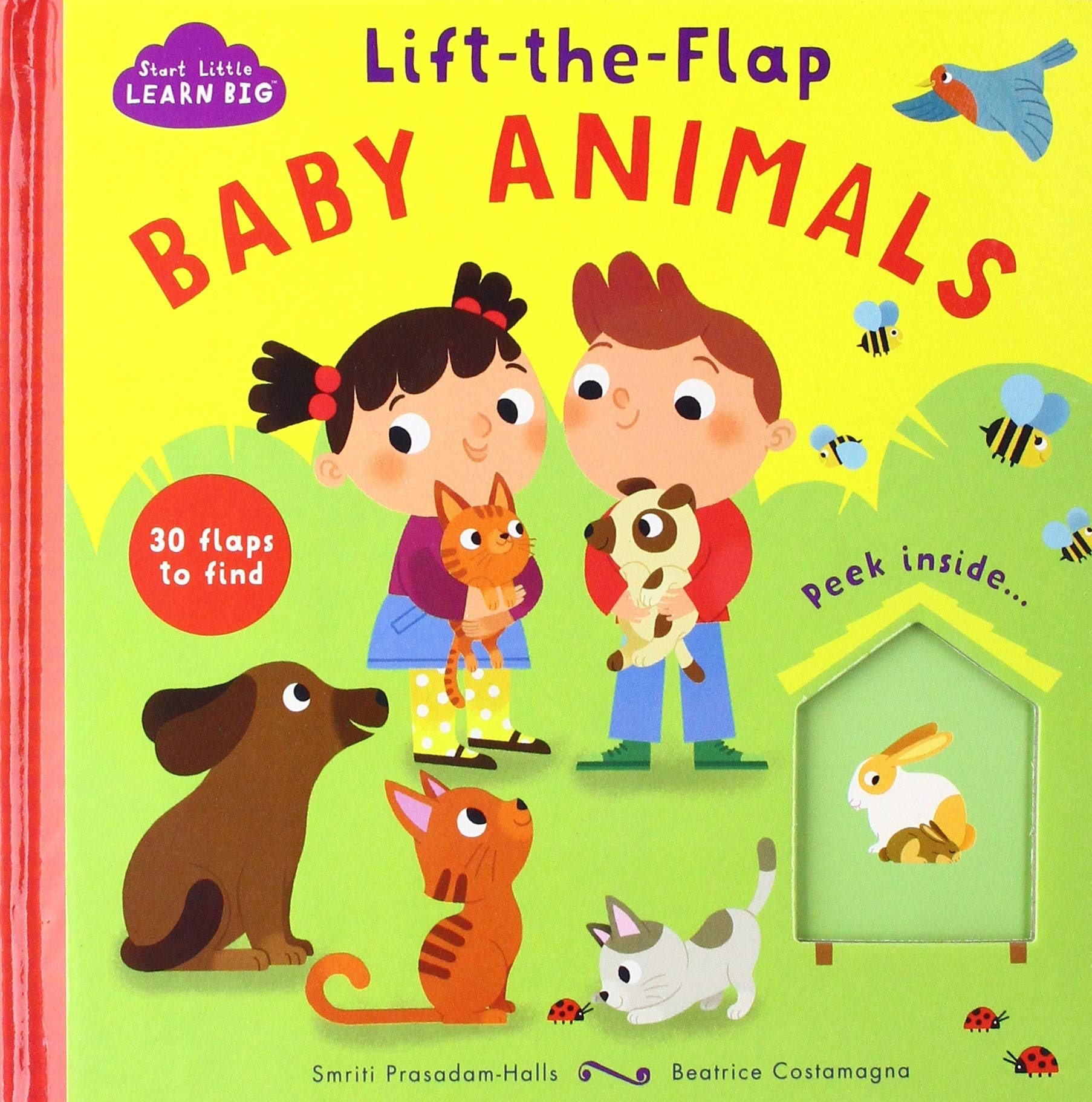 Lift-The-Flap Baby Animals