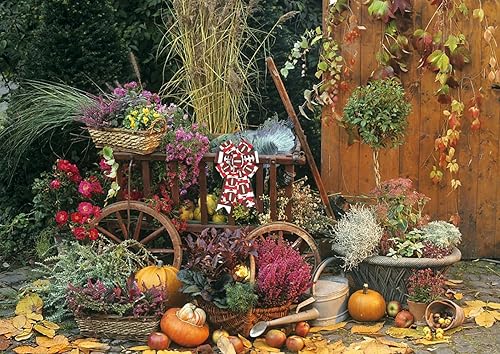 Miniatura 4 de 2 lazos de corona de otoño, lazos de otoño de Acción de Gracias, tiras rojas y blancas, lazos de arpillera de fútbol americano, lazos de tela