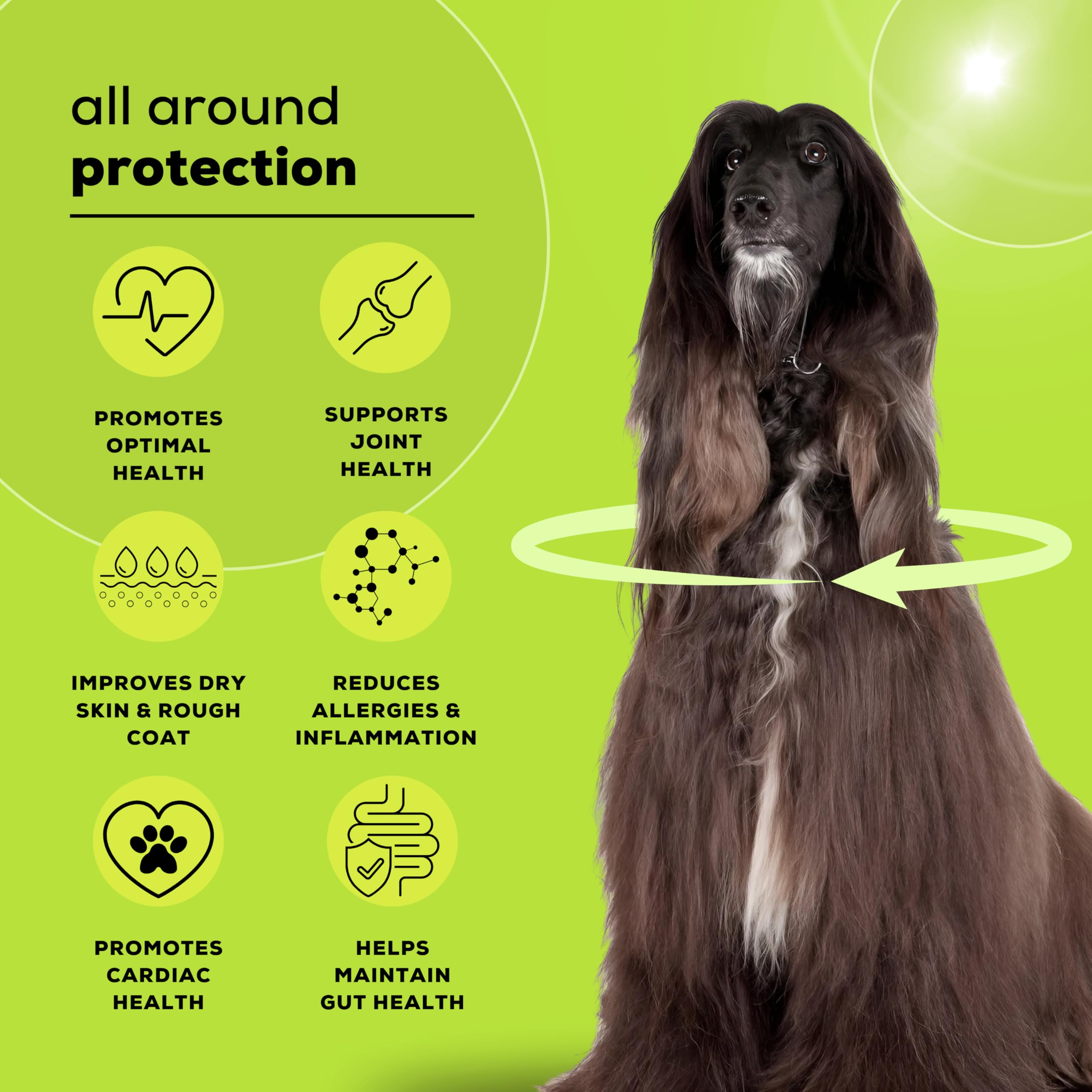 Venttura Omega+ Comprehensive Supplement of 2, 3, 6, 7 & 9 Omega Fatty Acid for Dogs | Healthy Skin, Glowing Coat and Boosting Health | for All Life Stages | Omega 2+3+6+7+9, Fish Oil | (150 ml Oil) 3