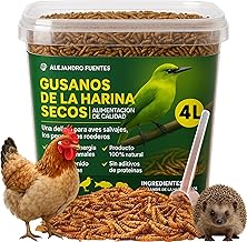 AF Flour Worms 600 g, Dehydrated Chicken Feed 4 L, 100% Natural Bird Worms, Insects for Birds, Swifts Food