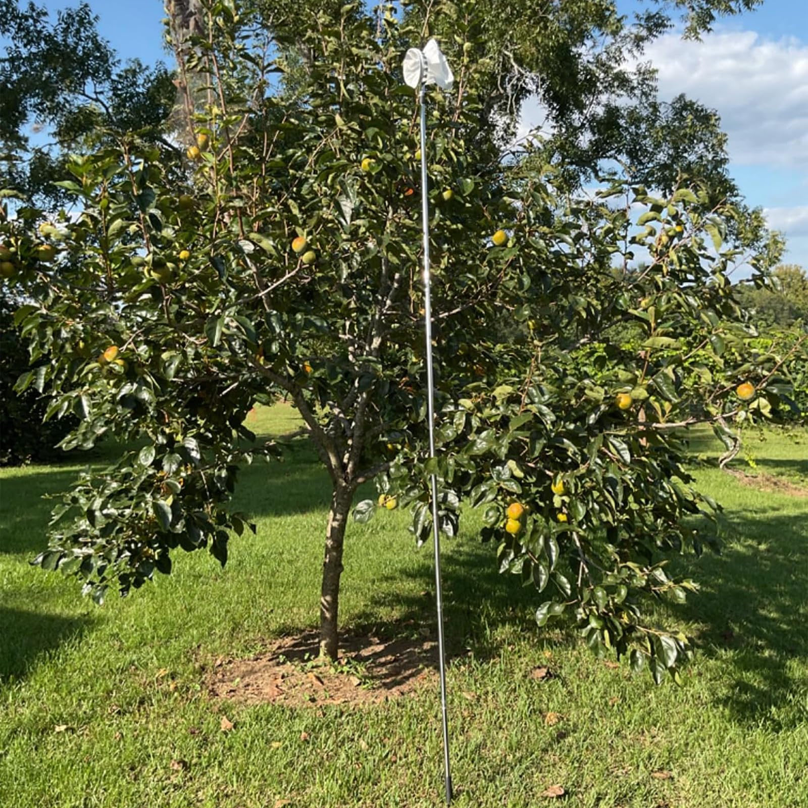Herramienta de recolección de frutas comercial, mango ajustable de acero inoxidable y cabeza de metal para recoger árboles Farmpark, recogedor de frutas con cesta extraíble