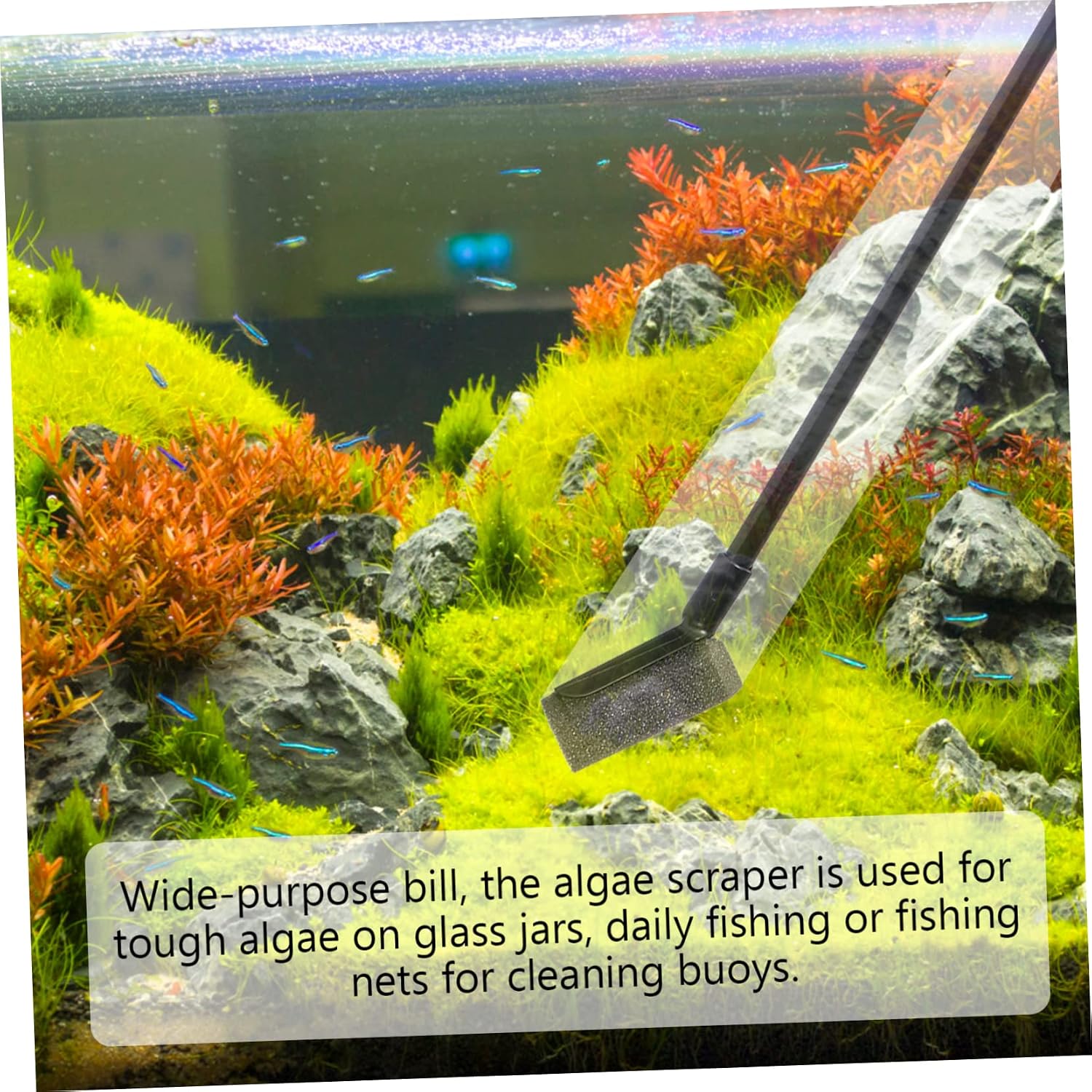 Kisangel 1set Aquarium Cleaning Tool Fish Tank Brush Kit for Easy Maintenance Efficient Dirt Removal and Shiny Aquarium Aesthetic for Freshwater and Tanks