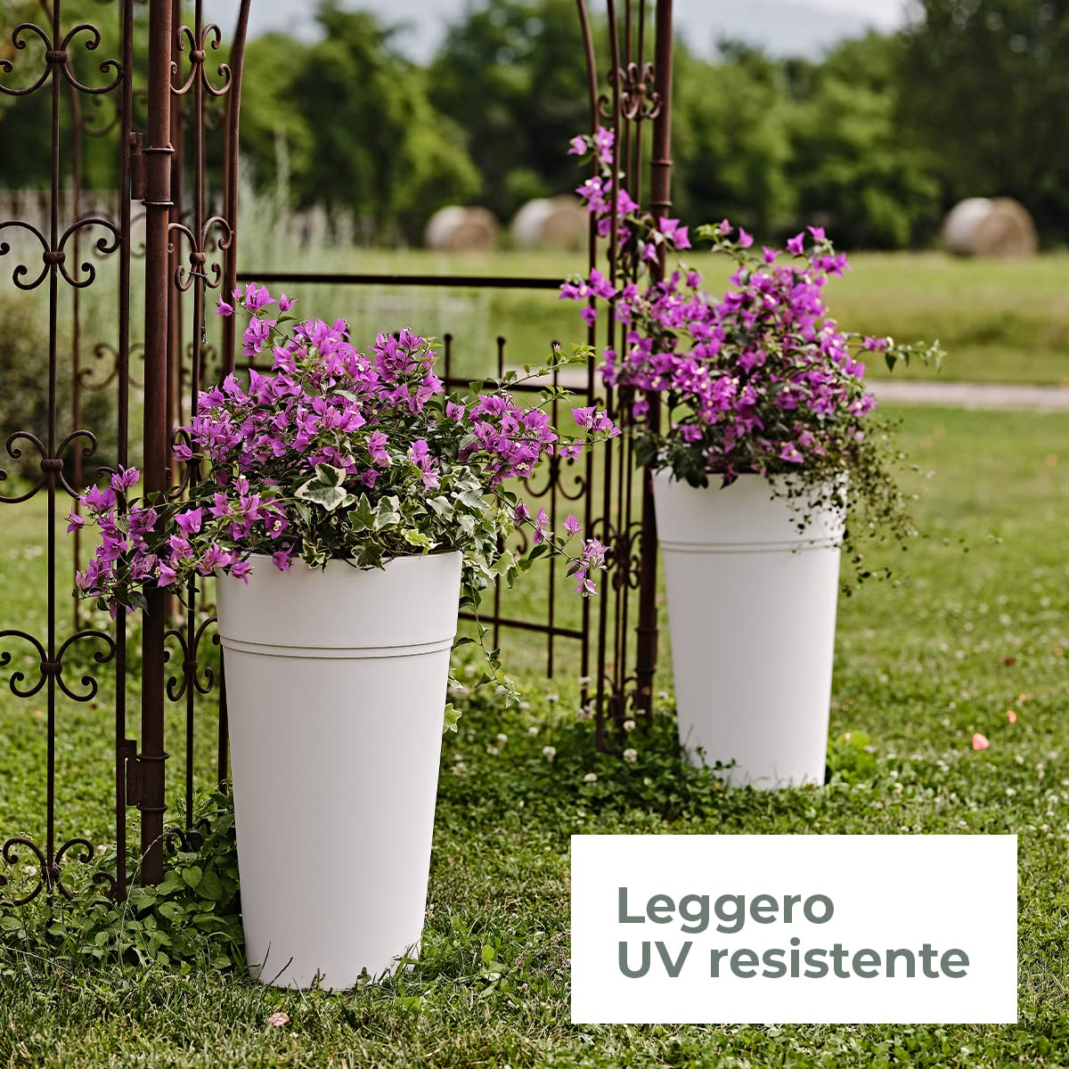 Teraplast Stem Altezza 65cm - Vaso Alto Da Esterno E Da Interno In Plastica Opaca, Colore Antracite, 100% Riciclabile Con Riserva D'Acqua. Portavaso Alto A Base Circolare.