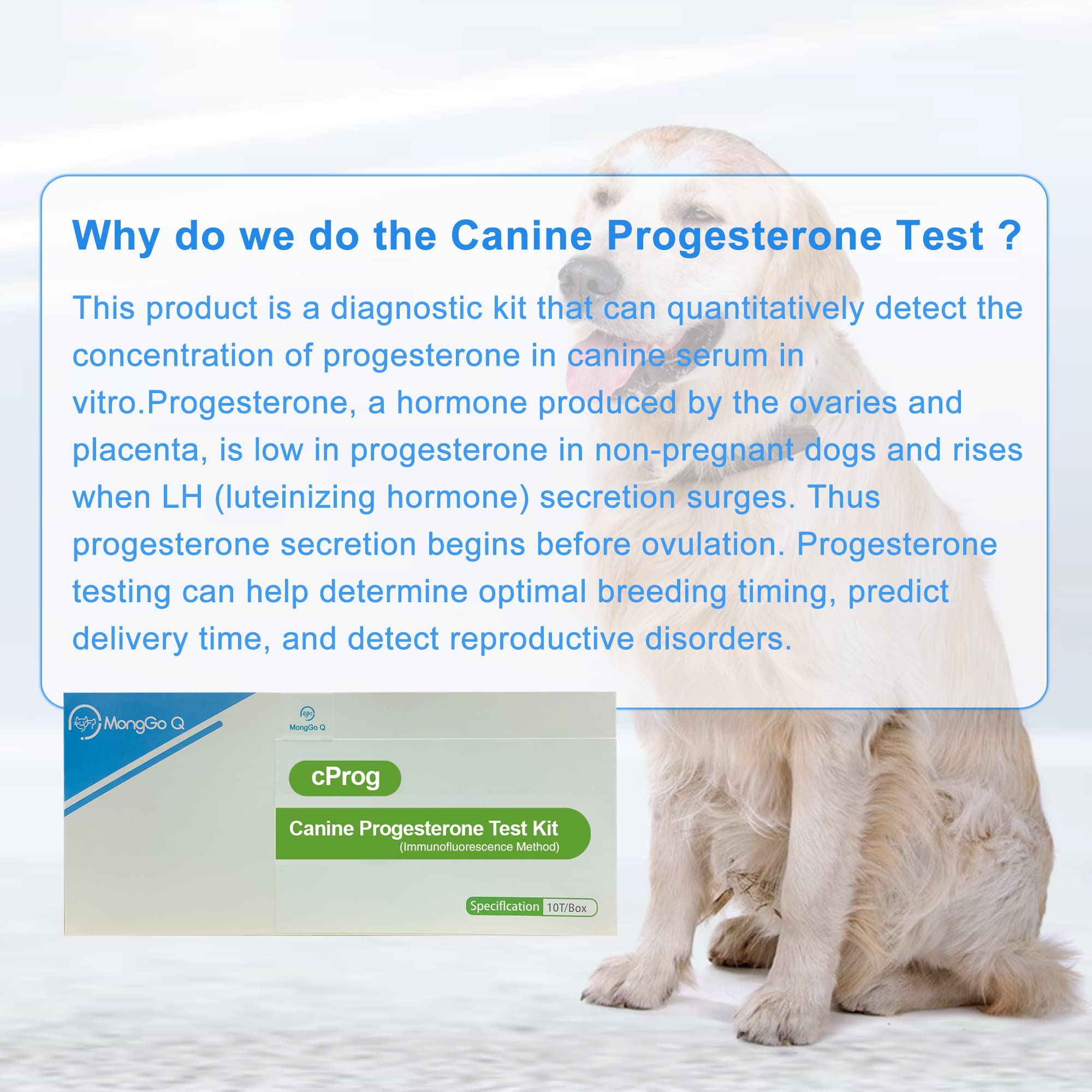 When Should Progesterone Test Be Done In Dogs