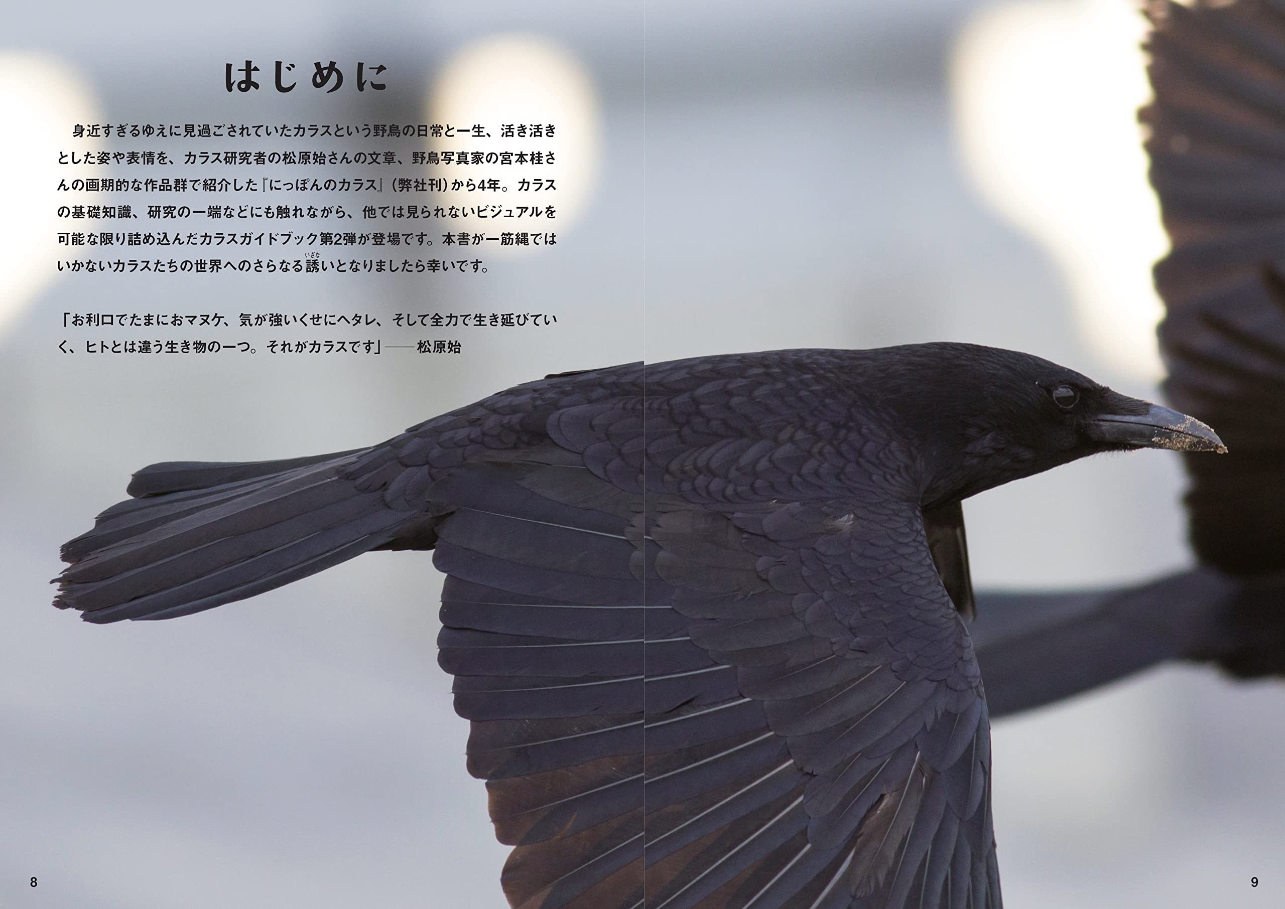 カンゼン にっぽんのカラス スーパービジュアル版 松原始 監修 著 宮本桂 写真 ポンプラボ 編集 B164oedoky 雑誌 Www Ladosur Cl