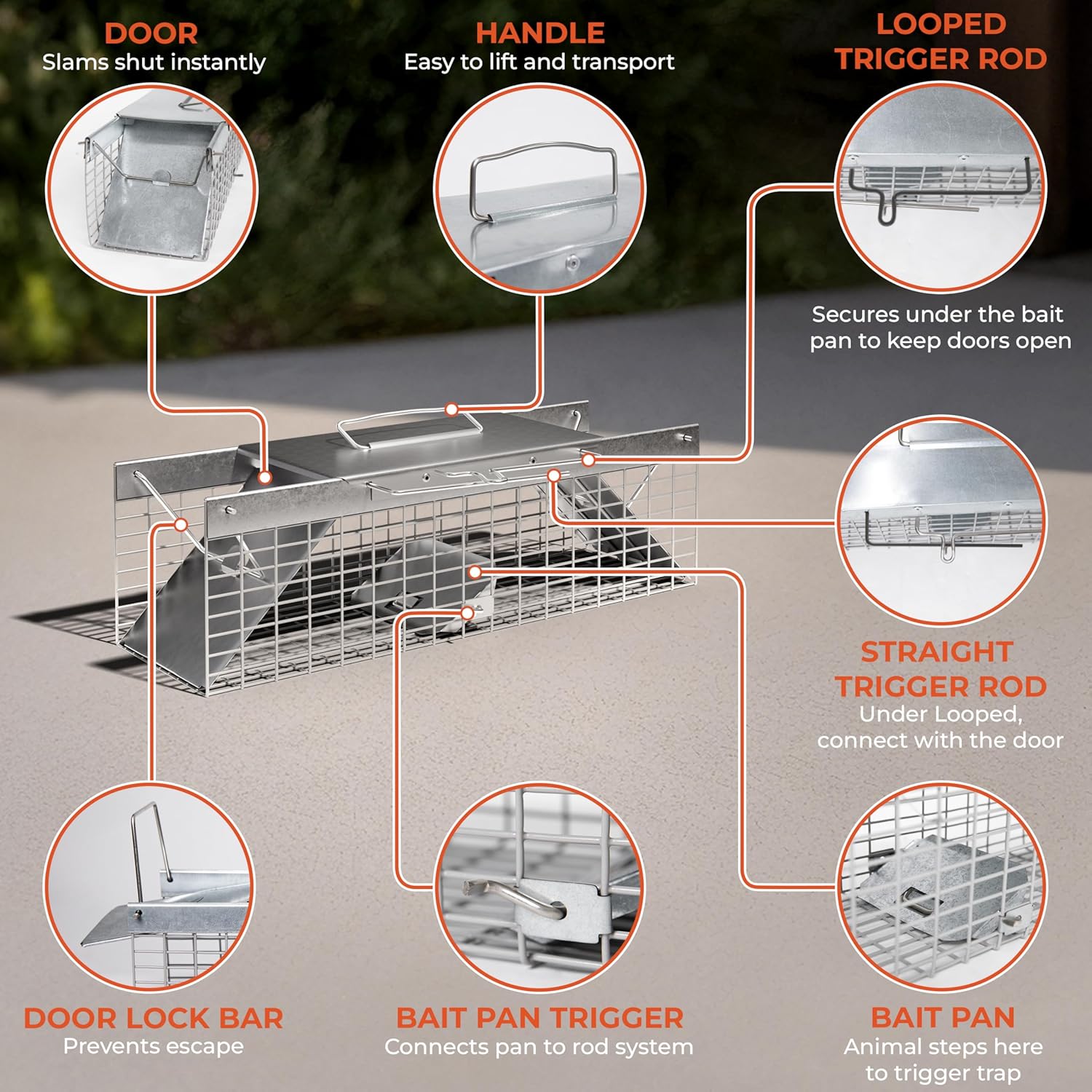 HOMESTEAD Live Rat Trap Indoor/Outside - Squirrel Trap, Have A Heart Animal for Chipmunk, Small Rabbits, Weasel and Similar-Size Rodents, 18"x5"x5", 2 Doors, Fully Assembled