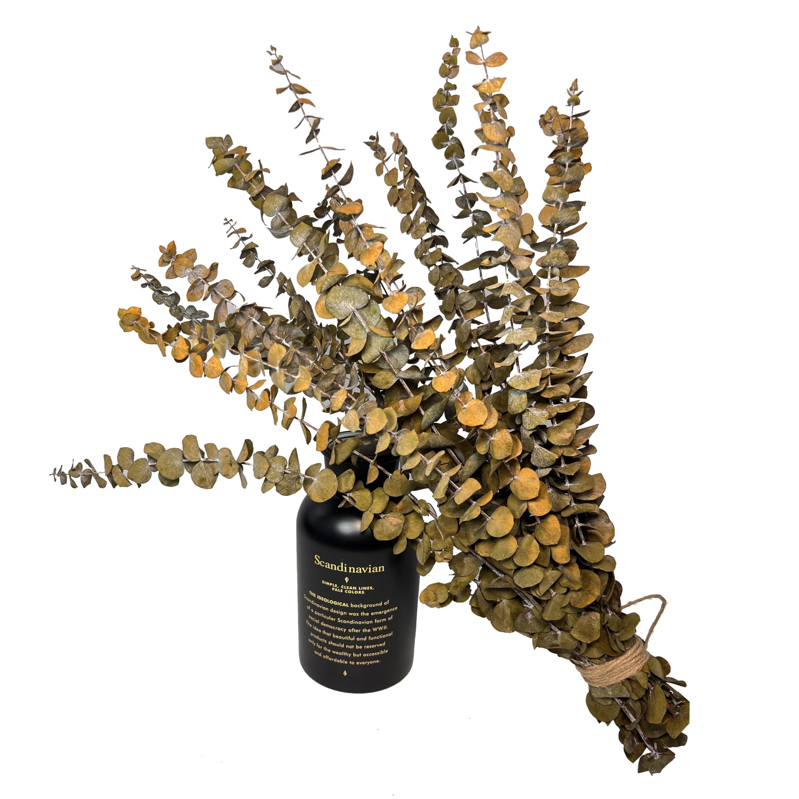 (20 pièces) tiges d'eucalyptus séchées – Rouge, véritable eucalyptus long, fleurs séchées pour vase, arrangement floral de 45,7 cm, mariage (jaune)