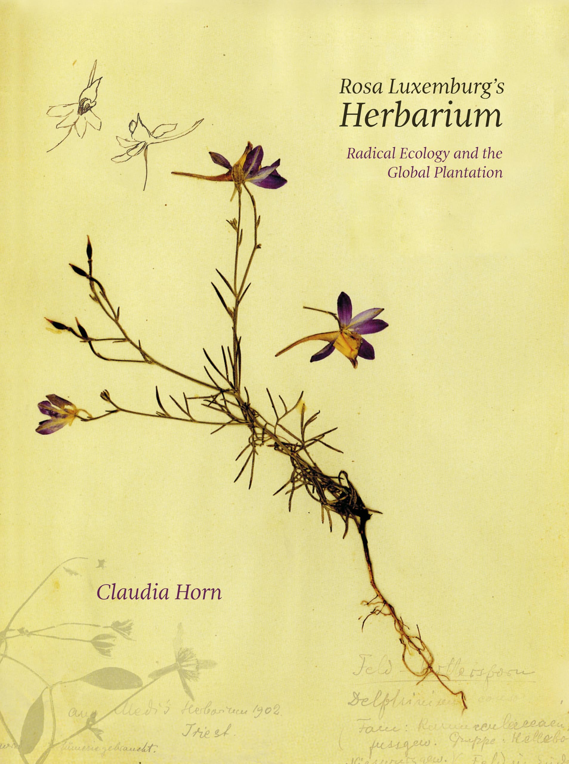 Rosa Luxemburg's Herbarium
