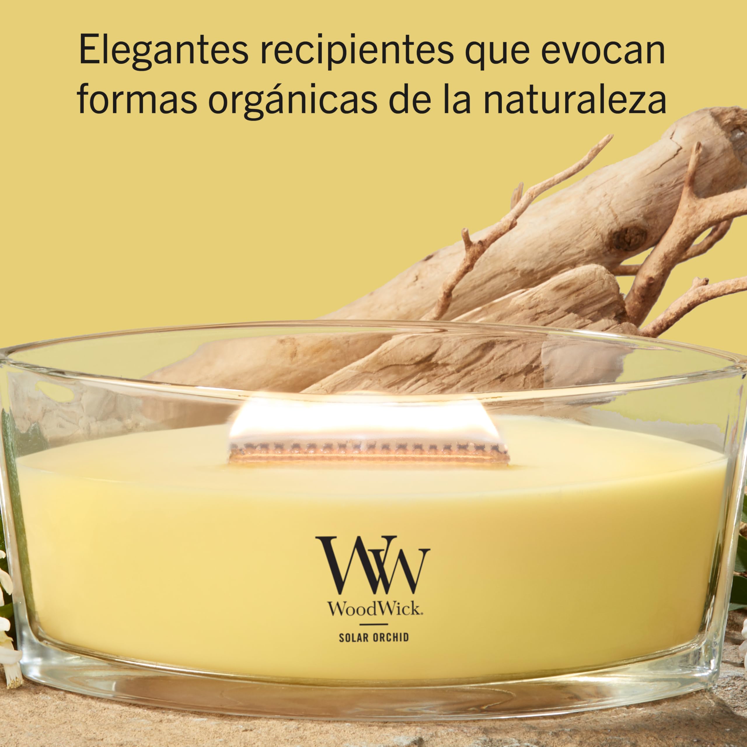 WoodWick | Vela Elíptica | Orquídea Solar | Gran regalo para mujeres