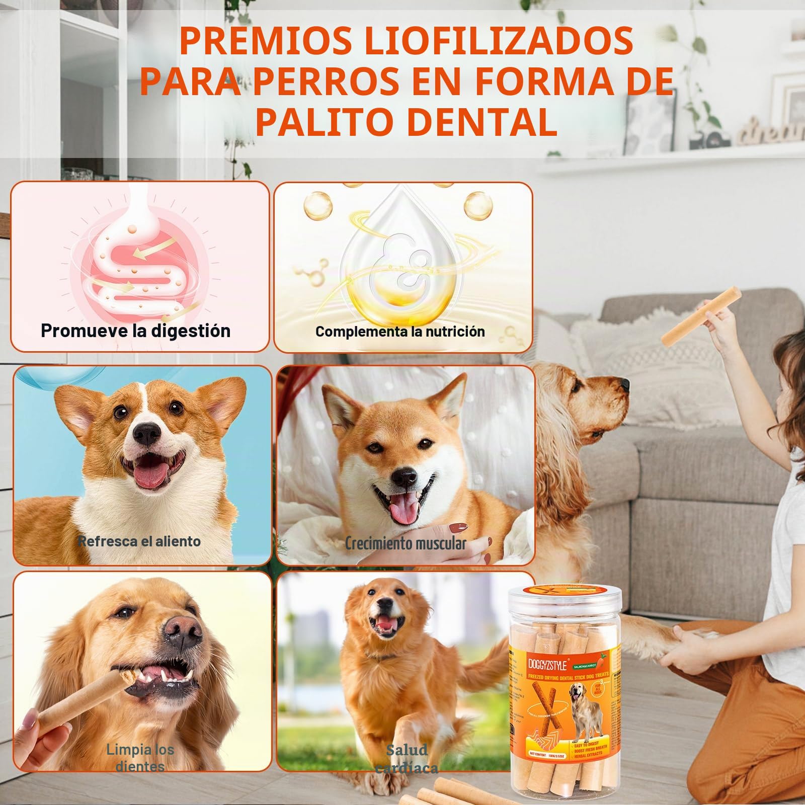 100g Salmon Sticks for Dogs,Palitos De Salmón para Perros,Salmón Y Zanahorias Reales,Fácilmente Digerible,Golosina para Perros Alta En Proteínas,Refresca El Aliento Saludable,para Todas Las Razas
