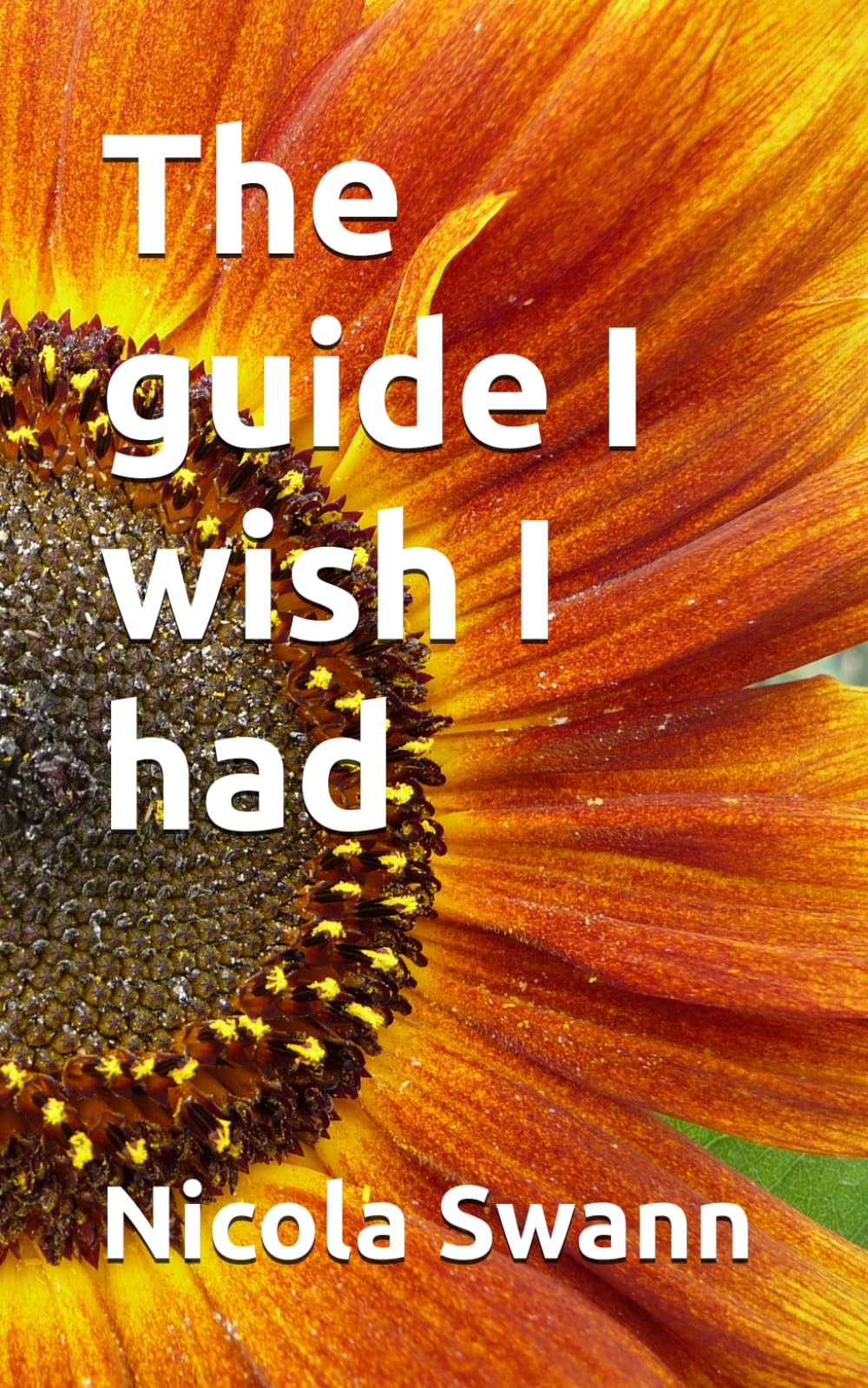 The guide I wish I had