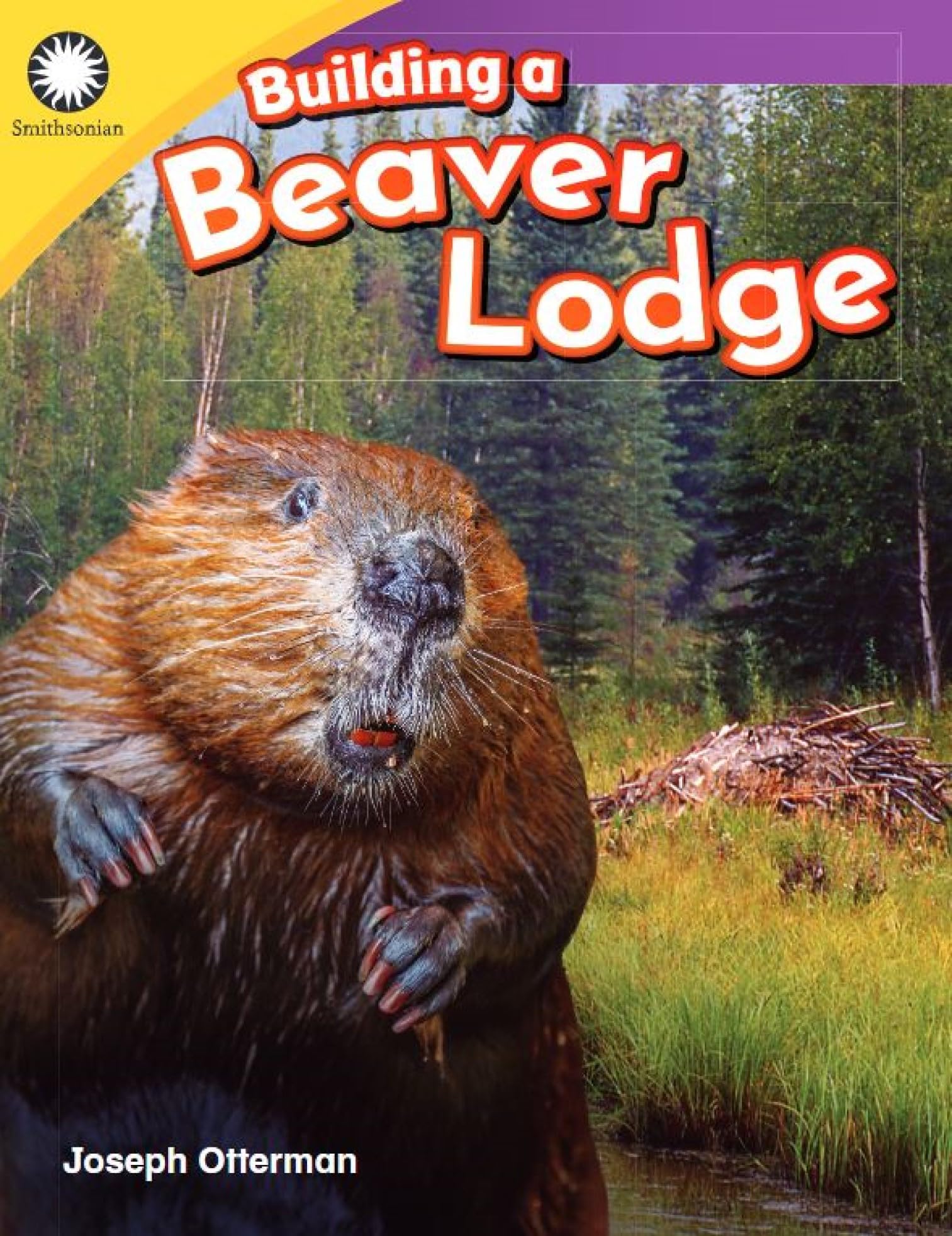 Building a Beaver Lodge (Smithsonian: Informational Text)