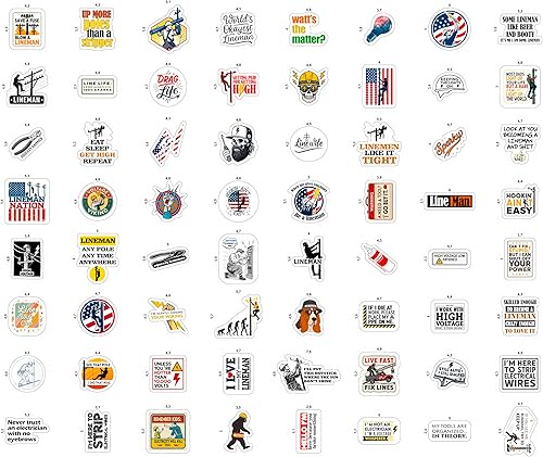 Vista 38 de BulbaCraft 100 calcomanías de meme de gato, divertidas calcomanías de gato, regalos para mujeres y hombres Gato Meme