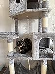 Review Image by JK5354 JK5354