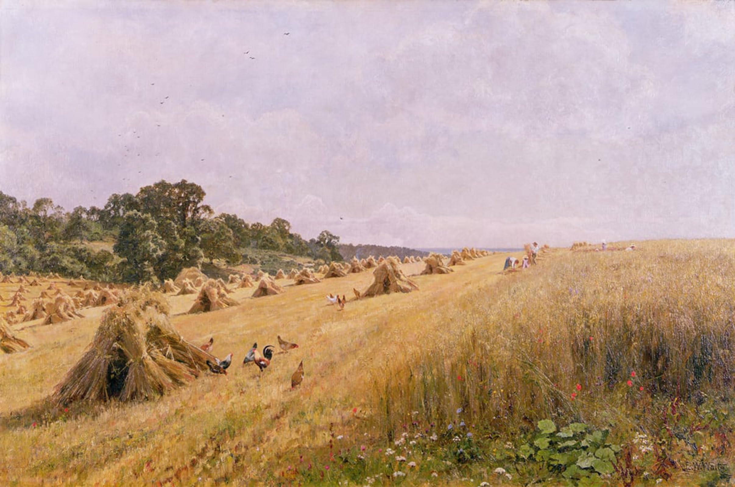 ARTXLXXBN Famous Painting Canvas Artwork Graffiti Print Cornfield Harvest by Edward Wilkins Waite Portrait Canvas Image for Home Decor 60x90cm