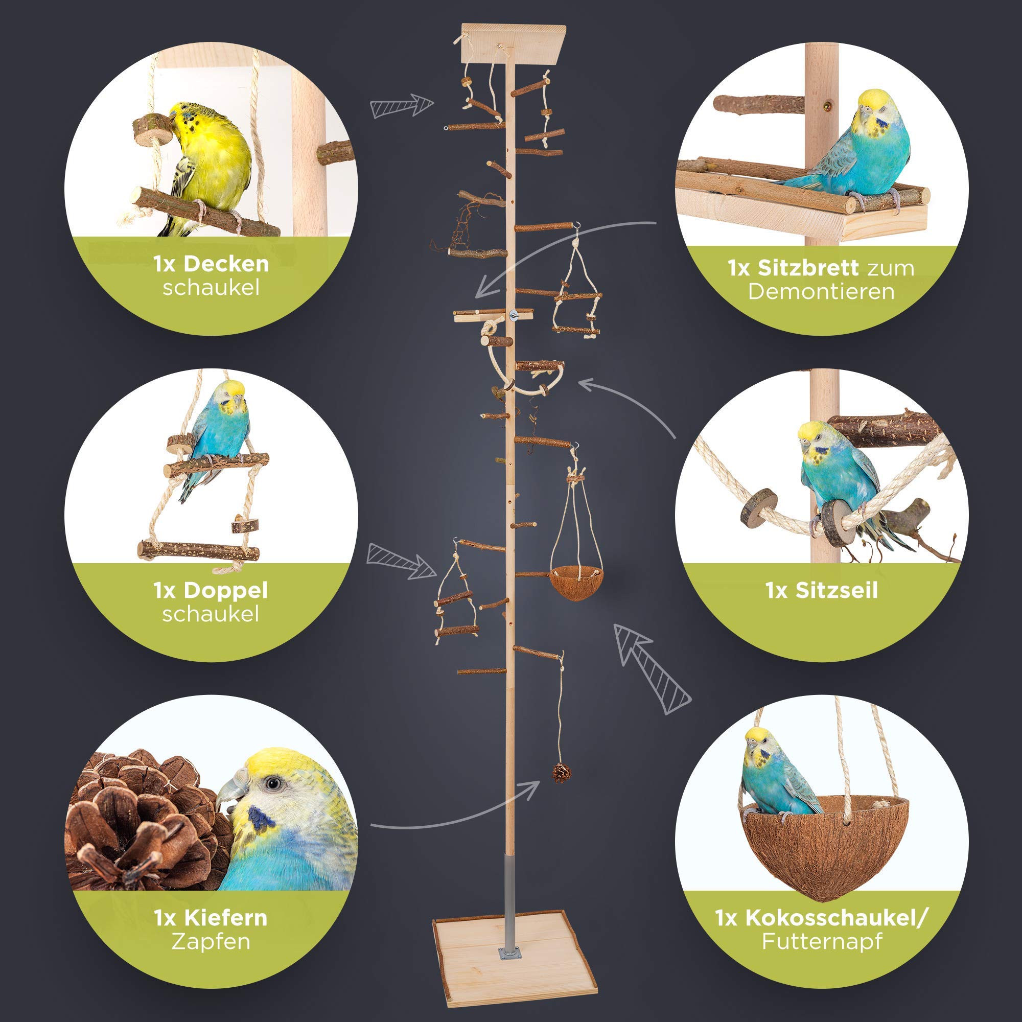 Vogelgaleria® Zimmerhoher Vogel-Kletterbaum 250-252 cm HiFly Medio mit Naturholz-Sitzstangen, Vogelspielzeug Vogelschaukel Vogelspielplatz Freisitz Freiflug Landeplatz für Wellensittich Nymphensittich