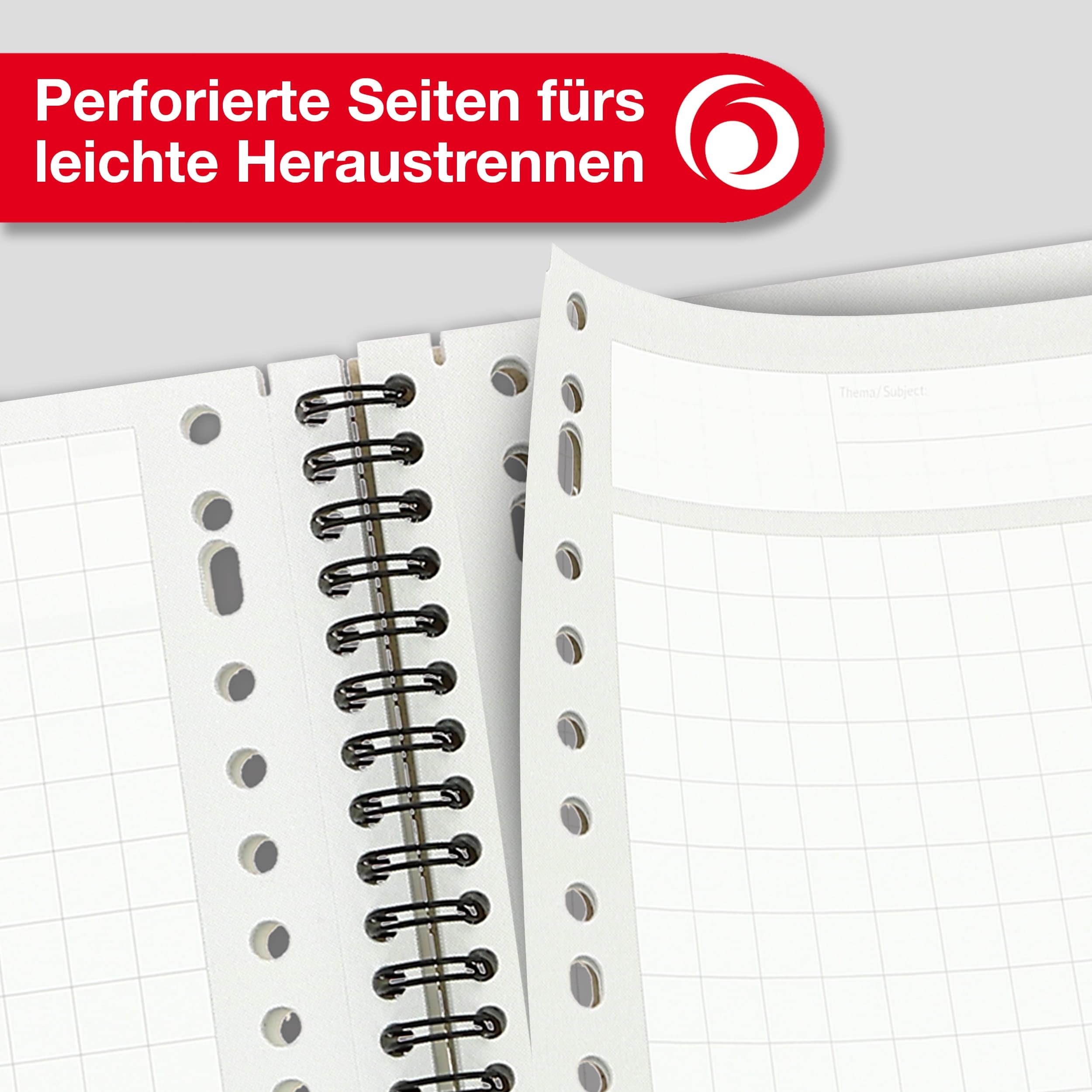 Landré 100555411 College Lot de 5 blocs de 100 feuilles format A4 Blanc à carreaux avec marges Papier 80 g/m²