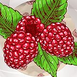 Raspberry Photo Collage