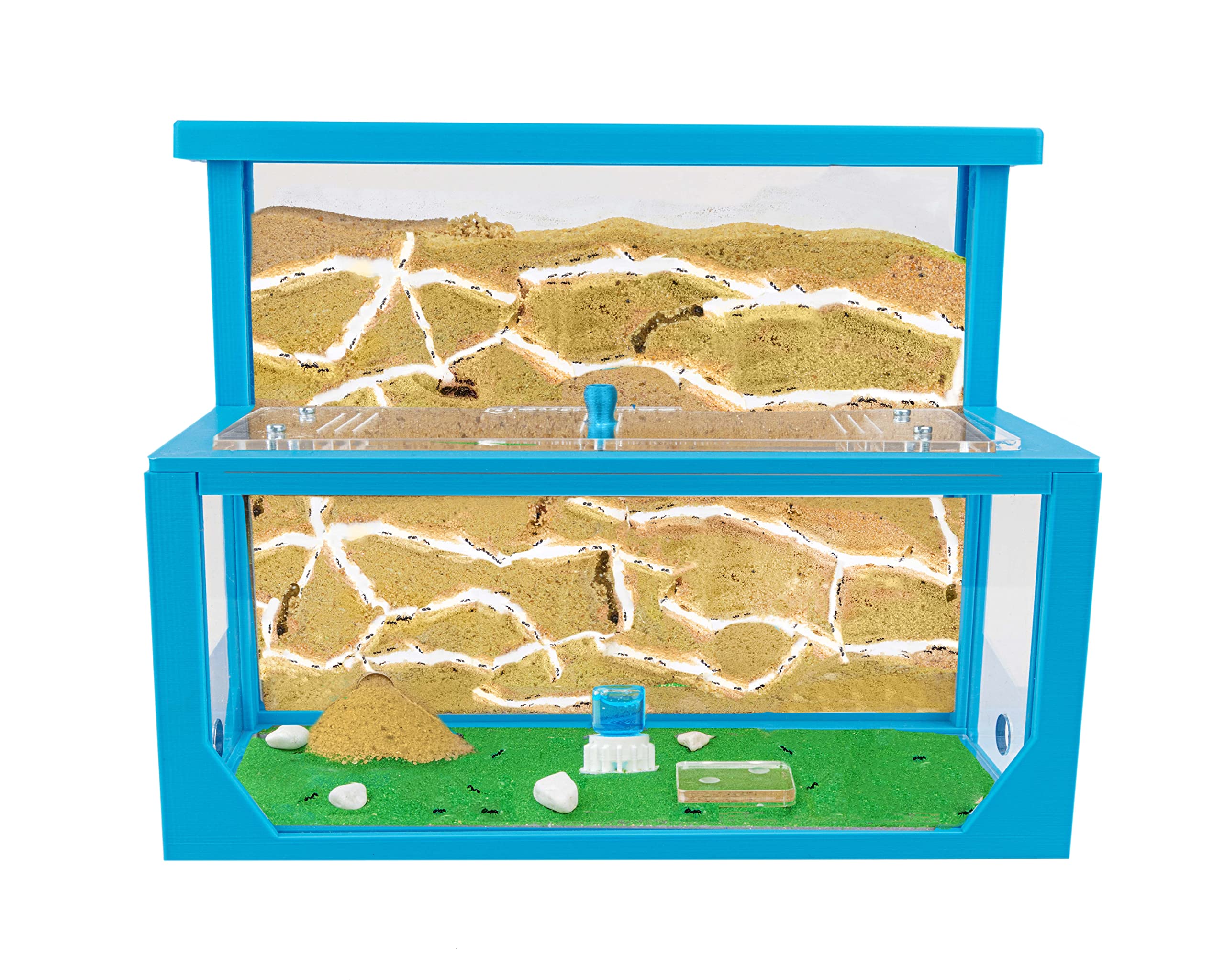 Anthouse.es - Hormiguero Natural de Arena - Kit Hormiguero 3D Forma de L (Sándwich + Caja de Forrajeo) - Granja de Hormigas con Colonia de Hormigas Incluida - 25x20x1 cm y 10x24x10 cm - Azul