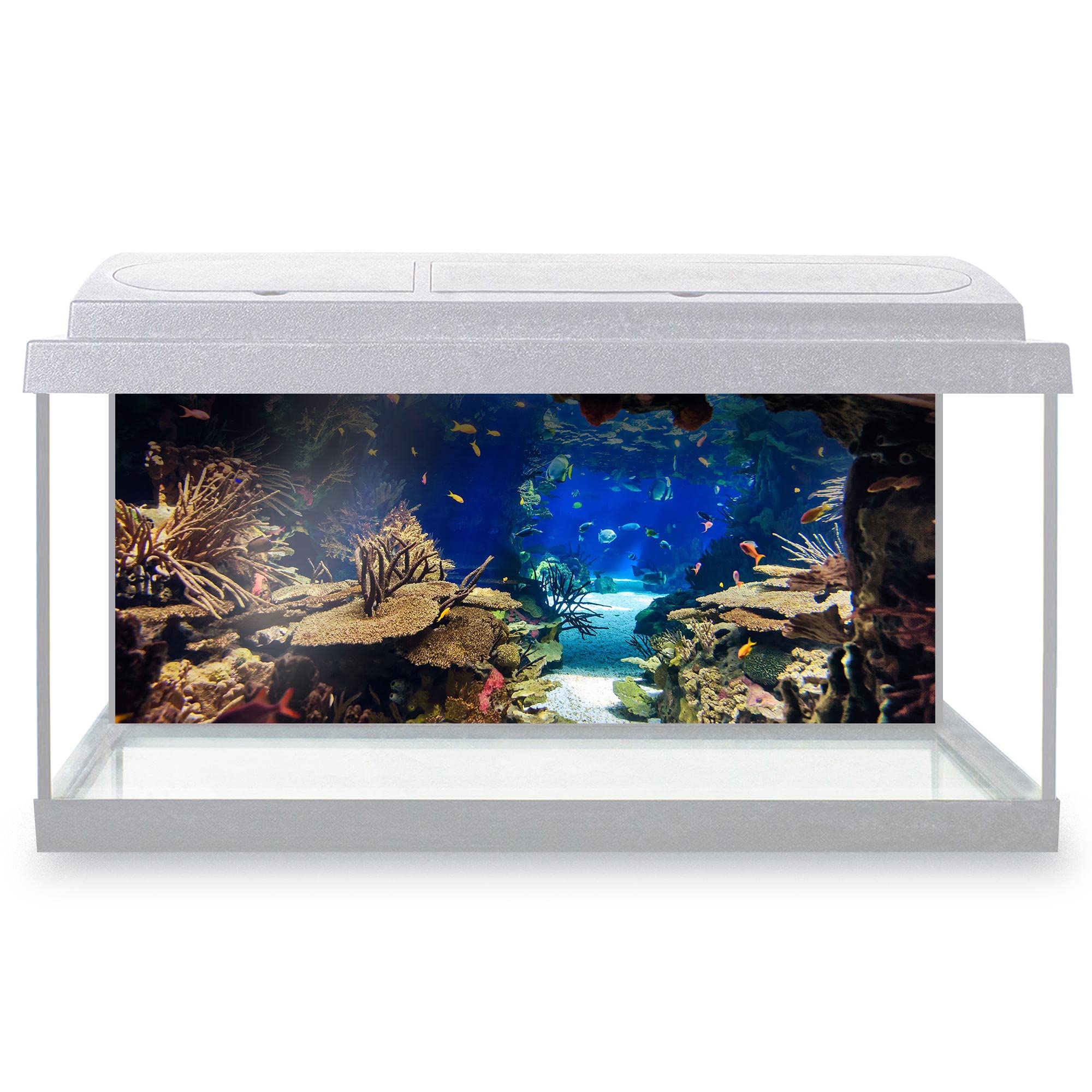 DV DESIGN Aquarium Fish Tank Background 77x32 cm - Aquarium Plants Tropical Colorful Fishes Coral Reef Underwater Deep Sea Animal Static Cling Vinyl Vivarium Terrarium External Application #500003