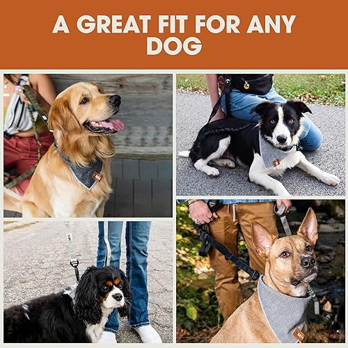 Miniatura 6 de Mountain Hound Collar táctico para perros pequeños, medianos y grandes, ajustable, resistente, con hebilla de metal de liberación rápida y correas