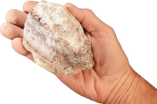 Miniatura 1 de Crazy Lace Agate 4 1/2" 1 1/2 a 2 libras Lapidarios Rocas ásperas y Minerales Cristales y piedras curativas de chakras del tercer ojo