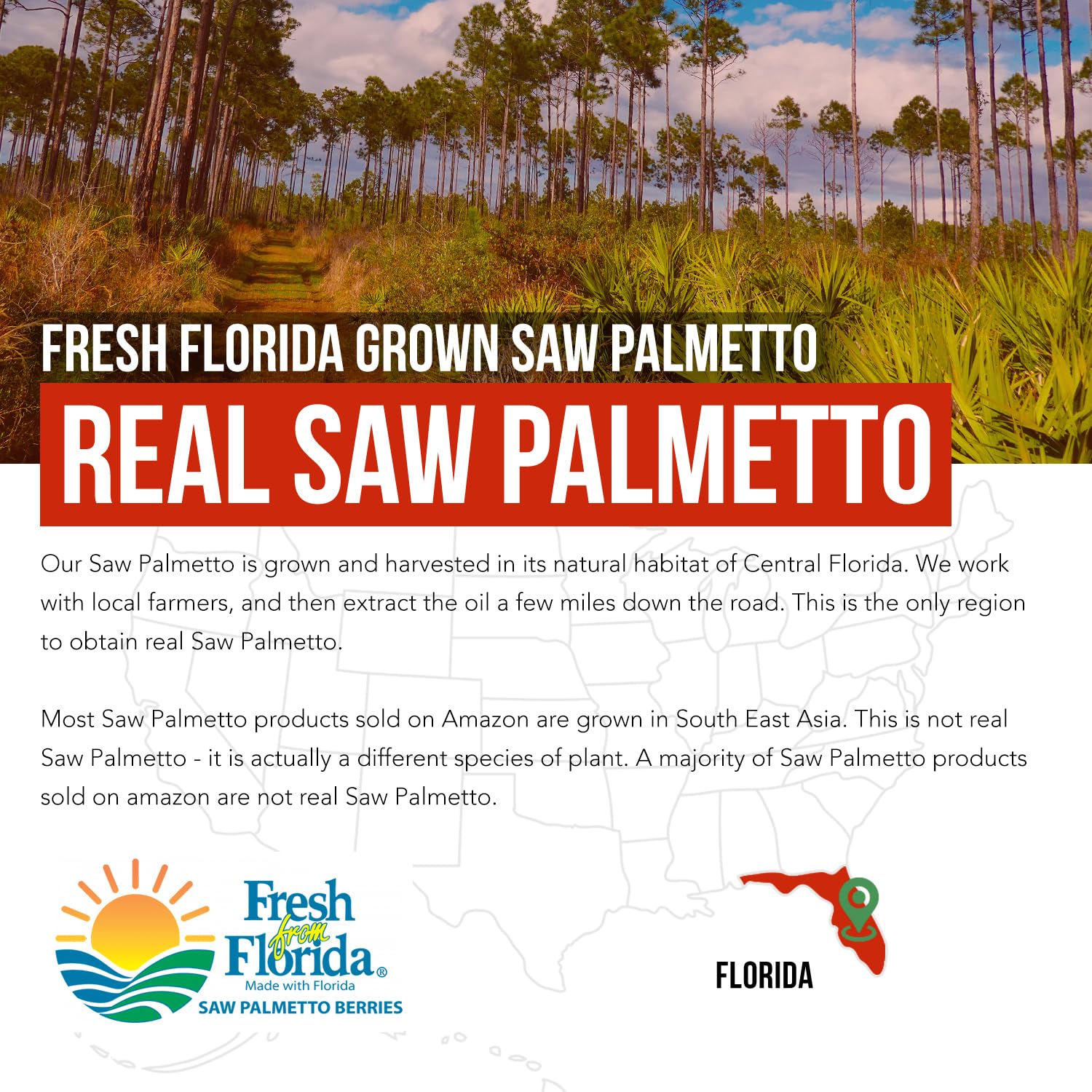 Saw Palmetto Extract Softgels, 10X Potency, Pharmaceutical Grade Strength — Amazon image 6