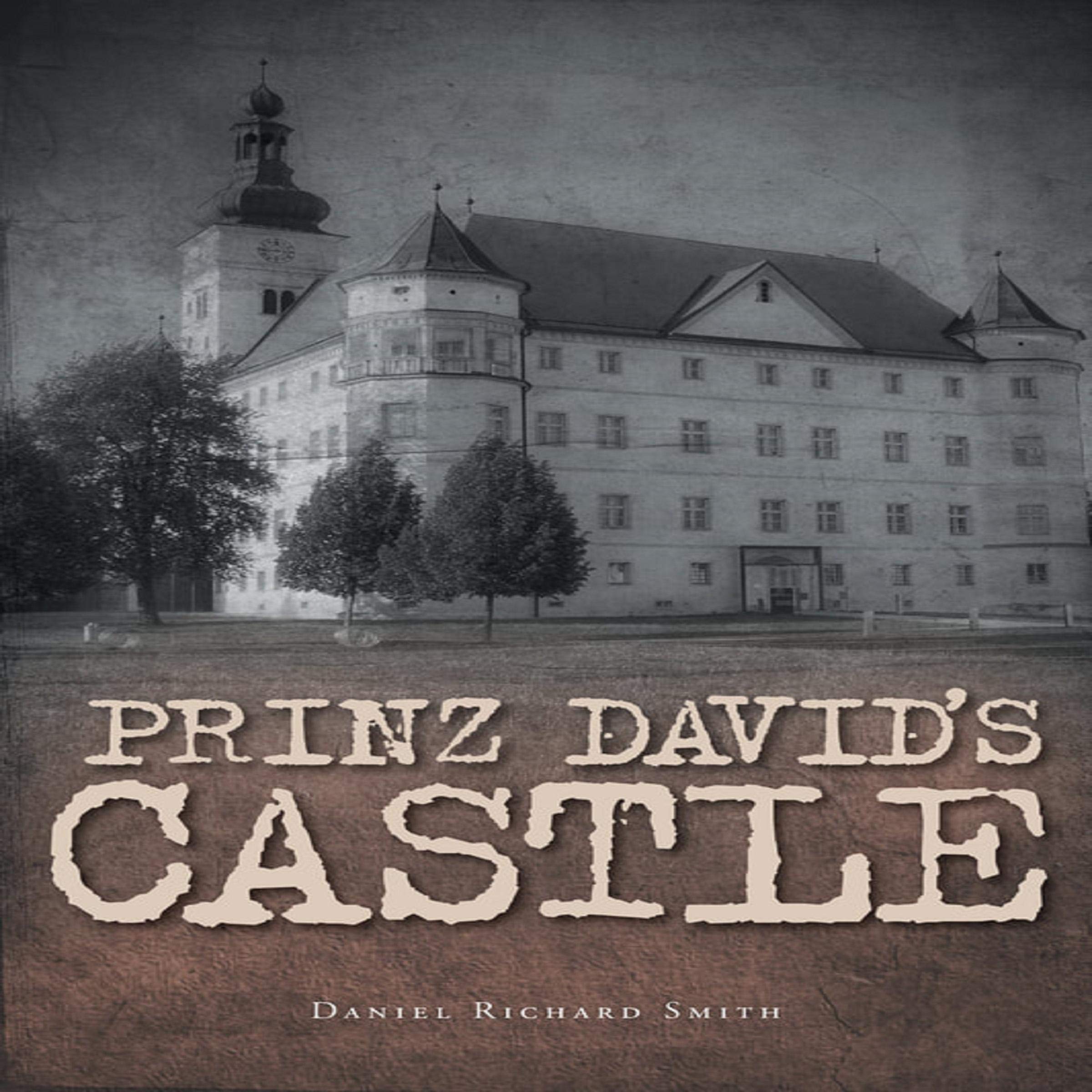 Prinz David's Castle