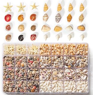 60Pcs Starfish & 1600Pcs Tiny Sea Shells - 5 Types Natural Seashells for Home Decorations Candle Decor DIY Fish Tank and Beach Vase Filler for Crafting Spiral Conch Shells