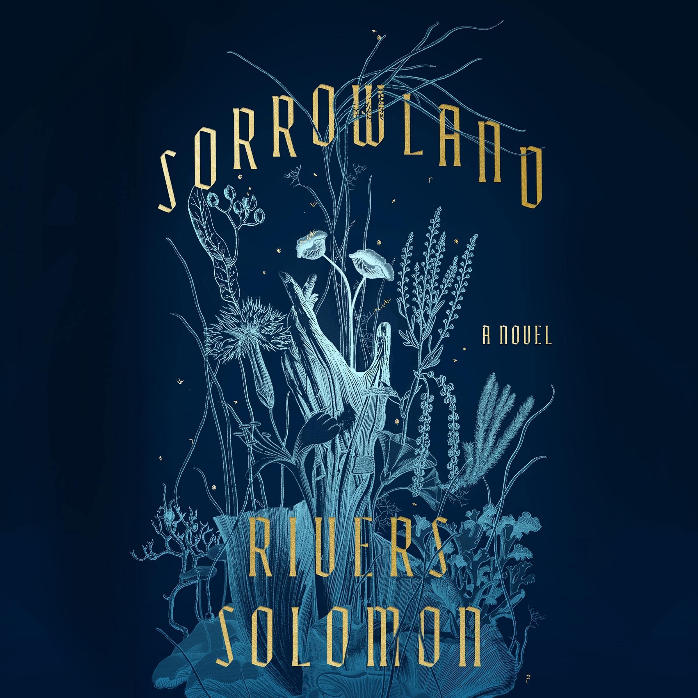 Cover art for Sorrowland
